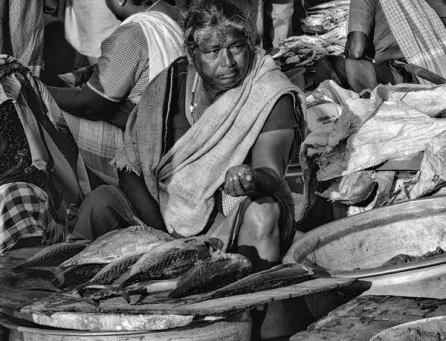 Vizhinjam Port NR Kovalam Beach - Kerala, India 3​​​​‌﻿‍﻿​‍​‍‌‍﻿﻿‌﻿​‍‌‍‍‌‌‍‌﻿‌‍‍‌‌‍﻿‍​‍​‍​﻿‍‍​‍​‍‌﻿​﻿‌‍​‌‌‍﻿‍‌‍‍‌‌﻿‌​‌﻿‍‌​‍﻿‍‌‍‍‌‌‍﻿﻿​‍​‍​‍﻿​​‍​‍‌‍‍​‌﻿​‍‌‍‌‌‌‍‌‍​‍​‍​﻿‍‍​‍​‍​‍﻿﻿‌‍​‌‌‍‌​‌‍﻿‌‌‍‍‌‌‍﻿‍​‍﻿﻿‌‍‍‌‌‍﻿‍‌﻿‌​‌‍‌‌‌‍﻿‍‌﻿‌​​‍﻿﻿‌‍‌‌‌‍‌​‌‍‍‌‌﻿‌​​‍﻿﻿‌‍﻿‌‌‍﻿﻿‌‍‌​‌‍‌‌​﻿﻿‌‌﻿​​‌﻿​‍‌‍‌‌‌﻿​﻿‌‍‌‌‌‍﻿‍‌﻿‌​‌‍​‌‌﻿‌​‌‍‍‌‌‍﻿﻿‌‍﻿‍​﻿‍﻿‌‍‍‌‌‍‌​​﻿﻿‌​﻿‌​​﻿​​​﻿‍​​﻿​​​﻿‌﻿​﻿​​‌‍‌​‌‍‌‍​‍﻿‌‌‍​‌​﻿​﻿‌‍​‍‌‍‌‍​‍﻿‌​﻿‌​​﻿‌‍‌‍‌‌‌‍​‌​‍﻿‌​﻿‍​​﻿‌﻿‌‍​﻿​﻿‌‍​‍﻿‌​﻿​‍‌‍​‍​﻿‌‍‌‍​‌​﻿‍​​﻿‌﻿​﻿​﻿​﻿​​​﻿​‍‌‍​﻿​﻿‌﻿‌‍​‍​﻿‍﻿‌﻿‌​‌﻿‍‌‌﻿​​‌‍‌‌​﻿﻿‌‌‍‌﻿‌‍​‌‌‍﻿​‌‍﻿​‌‍‌‌‌﻿​‍‌﻿‍‌​﻿‍﻿‌﻿​​‌‍​‌‌﻿‌​‌‍‍​​﻿﻿‌‌‍‌﻿‌‍​‌‌‍﻿​‌‍﻿​‌‍‌‌‌﻿​‍‌﻿‍‌‌​‍‌‌‍﻿‌‌‍​‌‌‍‌﻿‌‍‌‌‌﻿​﻿​‍‌‌​﻿‌‌‌​​‍‌‌﻿﻿‌‍‍﻿‌‍‌‌‌﻿‍‌​‍‌‌​﻿​﻿‌​‌​​‍‌‌​﻿​﻿‌​‌​​‍‌‌​﻿​‍​﻿​‍​﻿‌‌‌‍​‌​﻿‍‌​﻿​﻿​﻿‌‍​﻿​​‌‍‌‍‌‍‌‌‌‍​‌​﻿​‍​﻿​‌​﻿‍‌​‍‌‌​﻿​‍​﻿​‍​‍‌‌​﻿‌‌‌​‌​​‍﻿‍‌‍​‌‌‍﻿​‌﻿‌​​﻿﻿﻿‌‍​‍‌‍​‌‌﻿​﻿‌‍‌‌‌‌‌‌‌﻿​‍‌‍﻿​​﻿﻿‌​‍‌‌​﻿​‍‌​‌‍‌‍​‌‌‍‌​‌‍﻿‌‌‍‍‌‌‍﻿‍​‍‌‍‌‍‍‌‌‍‌​​﻿﻿‌​﻿‌​​﻿​​​﻿‍​​﻿​​​﻿‌﻿​﻿​​‌‍‌​‌‍‌‍​‍﻿‌‌‍​‌​﻿​﻿‌‍​‍‌‍‌‍​‍﻿‌​﻿‌​​﻿‌‍‌‍‌‌‌‍​‌​‍﻿‌​﻿‍​​﻿‌﻿‌‍​﻿​﻿‌‍​‍﻿‌​﻿​‍‌‍​‍​﻿‌‍‌‍​‌​﻿‍​​﻿‌﻿​﻿​﻿​﻿​​​﻿​‍‌‍​﻿​﻿‌﻿‌‍​‍​‍‌‍‌﻿‌​‌﻿‍‌‌﻿​​‌‍‌‌​﻿﻿‌‌‍‌﻿‌‍​‌‌‍﻿​‌‍﻿​‌‍‌‌‌﻿​‍‌﻿‍‌​‍‌‍‌﻿​​‌‍​‌‌﻿‌​‌‍‍​​﻿﻿‌‌‍‌﻿‌‍​‌‌‍﻿​‌‍﻿​‌‍‌‌‌﻿​‍‌﻿‍‌‌​‍‌‌‍﻿‌‌‍​‌‌‍‌﻿‌‍‌‌‌﻿​﻿​‍‌‌​﻿‌‌‌​​‍‌‌﻿﻿‌‍‍﻿‌‍‌‌‌﻿‍‌​‍‌‌​﻿​﻿‌​‌​​‍‌‌​﻿​﻿‌​‌​​‍‌‌​﻿​‍​﻿​‍​﻿‌‌‌‍​‌​﻿‍‌​﻿​﻿​﻿‌‍​﻿​​‌‍‌‍‌‍‌‌‌‍​‌​﻿​‍​﻿​‌​﻿‍‌​‍‌‌​﻿​‍​﻿​‍​‍‌‌​﻿‌‌‌​‌​​‍﻿‍‌‍​‌‌‍﻿​‌﻿‌​​‍‌‍‌﻿​​‌‍‌‌‌﻿​‍‌﻿​﻿‌﻿​​‌‍‌‌‌‍​﻿‌﻿‌​‌‍‍‌‌﻿‌‍‌‍‌‌​﻿﻿‌‌﻿​​‌﻿‌‌‌‍​‍‌‍﻿​‌‍‍‌‌﻿​﻿‌‍‍​‌‍‌‌‌‍‌​​‍​‍‌﻿﻿‌