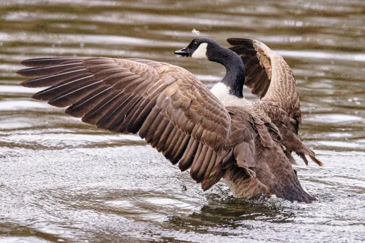 Ready for Take-off​​​​‌﻿‍﻿​‍​‍‌‍﻿﻿‌﻿​‍‌‍‍‌‌‍‌﻿‌‍‍‌‌‍﻿‍​‍​‍​﻿‍‍​‍​‍‌﻿​﻿‌‍​‌‌‍﻿‍‌‍‍‌‌﻿‌​‌﻿‍‌​‍﻿‍‌‍‍‌‌‍﻿﻿​‍​‍​‍﻿​​‍​‍‌‍‍​‌﻿​‍‌‍‌‌‌‍‌‍​‍​‍​﻿‍‍​‍​‍​‍﻿﻿‌‍​‌‌‍‌​‌‍﻿‌‌‍‍‌‌‍﻿‍​‍﻿﻿‌‍‍‌‌‍﻿‍‌﻿‌​‌‍‌‌‌‍﻿‍‌﻿‌​​‍﻿﻿‌‍‌‌‌‍‌​‌‍‍‌‌﻿‌​​‍﻿﻿‌‍﻿‌‌‍﻿﻿‌‍‌​‌‍‌‌​﻿﻿‌‌﻿​​‌﻿​‍‌‍‌‌‌﻿​﻿‌‍‌‌‌‍﻿‍‌﻿‌​‌‍​‌‌﻿‌​‌‍‍‌‌‍﻿﻿‌‍﻿‍​﻿‍﻿‌‍‍‌‌‍‌​​﻿﻿‌​﻿‌‌‌‍​‍‌‍​﻿‌‍​‍​﻿​‍​﻿‍​​﻿‌﻿‌‍​﻿​‍﻿‌‌‍‌​​﻿​‍​﻿‌​​﻿‌​​‍﻿‌​﻿‌​​﻿‌​‌‍‌‍​﻿‍‌​‍﻿‌​﻿‍​​﻿​‌‌‍‌​​﻿‌﻿​‍﻿‌​﻿‌‍‌‍​‍​﻿‌​‌‍​‌‌‍‌‍​﻿​﻿​﻿​﻿‌‍‌​​﻿​‍‌‍‌‍​﻿​‍‌‍​‍​﻿‍﻿‌﻿‌​‌﻿‍‌‌﻿​​‌‍‌‌​﻿﻿‌‌‍​‍‌‍‍‌‌﻿​‍‌‍‌​‌﻿​﻿‌​‌﻿‌‍​‌‌‍﻿​‌‍﻿​‌‍‌‌‌﻿​‍‌﻿‍‌​﻿‍﻿‌﻿​​‌‍​‌‌﻿‌​‌‍‍​​﻿﻿‌‌‍‌﻿‌‍​‌‌‍﻿​‌‍﻿​‌‍‌‌‌﻿​‍‌﻿‍‌‌​‍‌‌‍﻿‌‌‍​‌‌‍‌﻿‌‍‌‌‌﻿​﻿​‍‌‌​﻿‌‌‌​​‍‌‌﻿﻿‌‍‍﻿‌‍‌‌‌﻿‍‌​‍‌‌​﻿​﻿‌​‌​​‍‌‌​﻿​﻿‌​‌​​‍‌‌​﻿​‍​﻿​‍​﻿​‍​﻿‌‌‌‍​‍‌‍‌‌​﻿‌﻿​﻿‍​​﻿​‌​﻿‍​​﻿​‍​﻿​﻿​﻿​﻿‌‍‌‍​‍‌‌​﻿​‍​﻿​‍​‍‌‌​﻿‌‌‌​‌​​‍﻿‍‌‍​‌‌‍﻿​‌﻿‌​​﻿﻿﻿‌‍​‍‌‍​‌‌﻿​﻿‌‍‌‌‌‌‌‌‌﻿​‍‌‍﻿​​﻿﻿‌​‍‌‌​﻿​‍‌​‌‍‌‍​‌‌‍‌​‌‍﻿‌‌‍‍‌‌‍﻿‍​‍‌‍‌‍‍‌‌‍‌​​﻿﻿‌​﻿‌‌‌‍​‍‌‍​﻿‌‍​‍​﻿​‍​﻿‍​​﻿‌﻿‌‍​﻿​‍﻿‌‌‍‌​​﻿​‍​﻿‌​​﻿‌​​‍﻿‌​﻿‌​​﻿‌​‌‍‌‍​﻿‍‌​‍﻿‌​﻿‍​​﻿​‌‌‍‌​​﻿‌﻿​‍﻿‌​﻿‌‍‌‍​‍​﻿‌​‌‍​‌‌‍‌‍​﻿​﻿​﻿​﻿‌‍‌​​﻿​‍‌‍‌‍​﻿​‍‌‍​‍​‍‌‍‌﻿‌​‌﻿‍‌‌﻿​​‌‍‌‌​﻿﻿‌‌‍​‍‌‍‍‌‌﻿​‍‌‍‌​‌﻿​﻿‌​‌﻿‌‍​‌‌‍﻿​‌‍﻿​‌‍‌‌‌﻿​‍‌﻿‍‌​‍‌‍‌﻿​​‌‍​‌‌﻿‌​‌‍‍​​﻿﻿‌‌‍‌﻿‌‍​‌‌‍﻿​‌‍﻿​‌‍‌‌‌﻿​‍‌﻿‍‌‌​‍‌‌‍﻿‌‌‍​‌‌‍‌﻿‌‍‌‌‌﻿​﻿​‍‌‌​﻿‌‌‌​​‍‌‌﻿﻿‌‍‍﻿‌‍‌‌‌﻿‍‌​‍‌‌​﻿​﻿‌​‌​​‍‌‌​﻿​﻿‌​‌​​‍‌‌​﻿​‍​﻿​‍​﻿​‍​﻿‌‌‌‍​‍‌‍‌‌​﻿‌﻿​﻿‍​​﻿​‌​﻿‍​​﻿​‍​﻿​﻿​﻿​﻿‌‍‌‍​‍‌‌​﻿​‍​﻿​‍​‍‌‌​﻿‌‌‌​‌​​‍﻿‍‌‍​‌‌‍﻿​‌﻿‌​​‍‌‍‌﻿​​‌‍‌‌‌﻿​‍‌﻿​﻿‌﻿​​‌‍‌‌‌‍​﻿‌﻿‌​‌‍‍‌‌﻿‌‍‌‍‌‌​﻿﻿‌‌﻿​​‌﻿‌‌‌‍​‍‌‍﻿​‌‍‍‌‌﻿​﻿‌‍‍​‌‍‌‌‌‍‌​​‍​‍‌﻿﻿‌