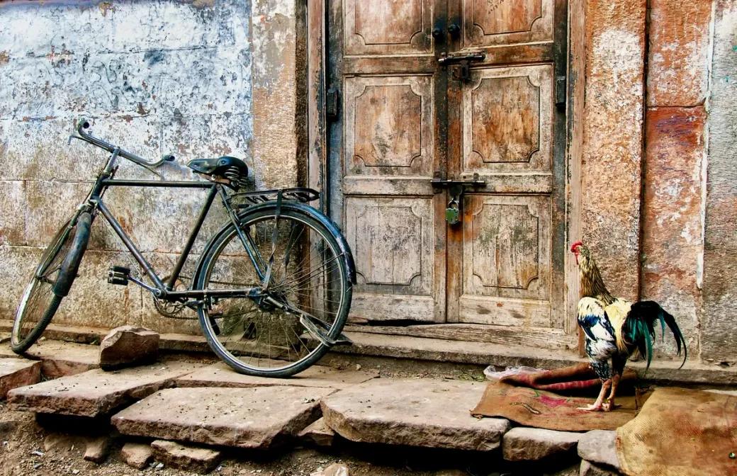 Cockerel And Bike - Jodhpur, India​​​​‌﻿‍﻿​‍​‍‌‍﻿﻿‌﻿​‍‌‍‍‌‌‍‌﻿‌‍‍‌‌‍﻿‍​‍​‍​﻿‍‍​‍​‍‌﻿​﻿‌‍​‌‌‍﻿‍‌‍‍‌‌﻿‌​‌﻿‍‌​‍﻿‍‌‍‍‌‌‍﻿﻿​‍​‍​‍﻿​​‍​‍‌‍‍​‌﻿​‍‌‍‌‌‌‍‌‍​‍​‍​﻿‍‍​‍​‍​‍﻿﻿‌‍​‌‌‍‌​‌‍﻿‌‌‍‍‌‌‍﻿‍​‍﻿﻿‌‍‍‌‌‍﻿‍‌﻿‌​‌‍‌‌‌‍﻿‍‌﻿‌​​‍﻿﻿‌‍‌‌‌‍‌​‌‍‍‌‌﻿‌​​‍﻿﻿‌‍﻿‌‌‍﻿﻿‌‍‌​‌‍‌‌​﻿﻿‌‌﻿​​‌﻿​‍‌‍‌‌‌﻿​﻿‌‍‌‌‌‍﻿‍‌﻿‌​‌‍​‌‌﻿‌​‌‍‍‌‌‍﻿﻿‌‍﻿‍​﻿‍﻿‌‍‍‌‌‍‌​​﻿﻿‌​﻿‌‍​﻿​‍​﻿​​‌‍​﻿​﻿‌‌​﻿‌​‌‍‌‌​﻿‌​​‍﻿‌​﻿​‍​﻿​﻿​﻿‍‌​﻿​﻿​‍﻿‌​﻿‌​​﻿​‌​﻿​‍‌‍​‌​‍﻿‌‌‍​‍​﻿​﻿‌‍​‌​﻿​​​‍﻿‌​﻿‌‌‌‍‌​​﻿​​‌‍​‍​﻿‍​​﻿​﻿​﻿‍‌‌‍‌‍​﻿‌‍​﻿‍‌‌‍​‍​﻿​‍​﻿‍﻿‌﻿‌​‌﻿‍‌‌﻿​​‌‍‌‌​﻿﻿‌‌‍‌﻿‌‍​‌‌‍﻿​‌‍﻿​‌‍‌‌‌﻿​‍‌﻿‍‌​﻿‍﻿‌﻿​​‌‍​‌‌﻿‌​‌‍‍​​﻿﻿‌‌‍‌﻿‌‍​‌‌‍﻿​‌‍﻿​‌‍‌‌‌﻿​‍‌﻿‍‌‌​‍‌‌‍﻿‌‌‍​‌‌‍‌﻿‌‍‌‌‌﻿​﻿​‍‌‌​﻿‌‌‌​​‍‌‌﻿﻿‌‍‍﻿‌‍‌‌‌﻿‍‌​‍‌‌​﻿​﻿‌​‌​​‍‌‌​﻿​﻿‌​‌​​‍‌‌​﻿​‍​﻿​‍​﻿‍​​﻿​‍‌‍​‌​﻿‌​​﻿​﻿​﻿​​​﻿‌​‌‍‌‍‌‍​﻿​﻿‌‌‌‍​﻿‌‍‌​​‍‌‌​﻿​‍​﻿​‍​‍‌‌​﻿‌‌‌​‌​​‍﻿‍‌‍​‌‌‍﻿​‌﻿‌​​﻿﻿﻿‌‍​‍‌‍​‌‌﻿​﻿‌‍‌‌‌‌‌‌‌﻿​‍‌‍﻿​​﻿﻿‌​‍‌‌​﻿​‍‌​‌‍‌‍​‌‌‍‌​‌‍﻿‌‌‍‍‌‌‍﻿‍​‍‌‍‌‍‍‌‌‍‌​​﻿﻿‌​﻿‌‍​﻿​‍​﻿​​‌‍​﻿​﻿‌‌​﻿‌​‌‍‌‌​﻿‌​​‍﻿‌​﻿​‍​﻿​﻿​﻿‍‌​﻿​﻿​‍﻿‌​﻿‌​​﻿​‌​﻿​‍‌‍​‌​‍﻿‌‌‍​‍​﻿​﻿‌‍​‌​﻿​​​‍﻿‌​﻿‌‌‌‍‌​​﻿​​‌‍​‍​﻿‍​​﻿​﻿​﻿‍‌‌‍‌‍​﻿‌‍​﻿‍‌‌‍​‍​﻿​‍​‍‌‍‌﻿‌​‌﻿‍‌‌﻿​​‌‍‌‌​﻿﻿‌‌‍‌﻿‌‍​‌‌‍﻿​‌‍﻿​‌‍‌‌‌﻿​‍‌﻿‍‌​‍‌‍‌﻿​​‌‍​‌‌﻿‌​‌‍‍​​﻿﻿‌‌‍‌﻿‌‍​‌‌‍﻿​‌‍﻿​‌‍‌‌‌﻿​‍‌﻿‍‌‌​‍‌‌‍﻿‌‌‍​‌‌‍‌﻿‌‍‌‌‌﻿​﻿​‍‌‌​﻿‌‌‌​​‍‌‌﻿﻿‌‍‍﻿‌‍‌‌‌﻿‍‌​‍‌‌​﻿​﻿‌​‌​​‍‌‌​﻿​﻿‌​‌​​‍‌‌​﻿​‍​﻿​‍​﻿‍​​﻿​‍‌‍​‌​﻿‌​​﻿​﻿​﻿​​​﻿‌​‌‍‌‍‌‍​﻿​﻿‌‌‌‍​﻿‌‍‌​​‍‌‌​﻿​‍​﻿​‍​‍‌‌​﻿‌‌‌​‌​​‍﻿‍‌‍​‌‌‍﻿​‌﻿‌​​‍‌‍‌﻿​​‌‍‌‌‌﻿​‍‌﻿​﻿‌﻿​​‌‍‌‌‌‍​﻿‌﻿‌​‌‍‍‌‌﻿‌‍‌‍‌‌​﻿﻿‌‌﻿​​‌﻿‌‌‌‍​‍‌‍﻿​‌‍‍‌‌﻿​﻿‌‍‍​‌‍‌‌‌‍‌​​‍​‍‌﻿﻿‌