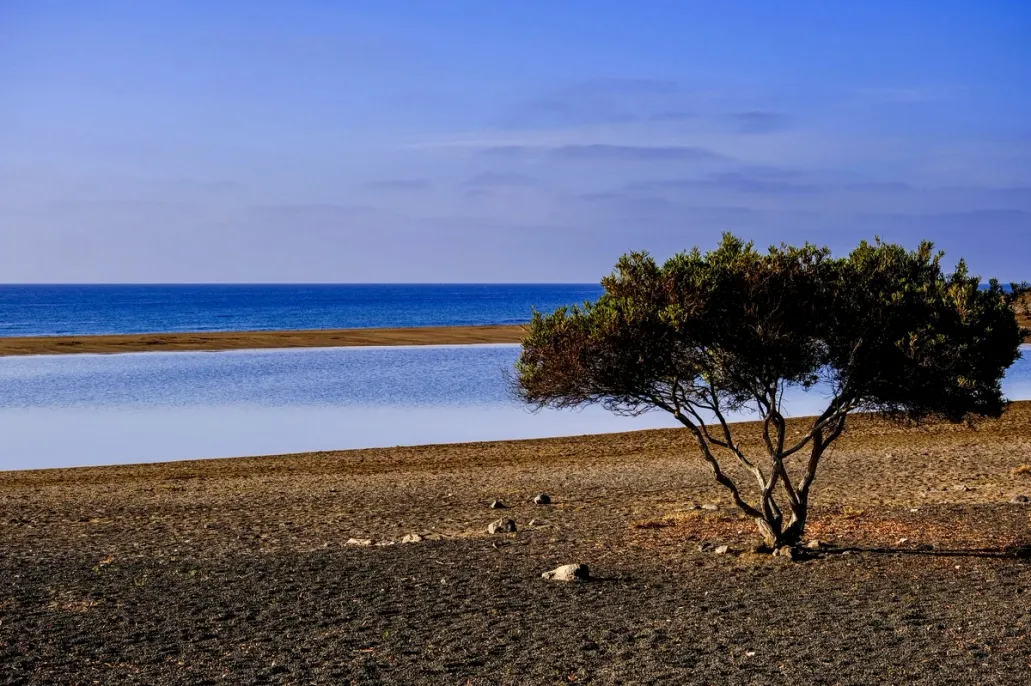 Tidal Tree - Lanzarote​​​​‌﻿‍﻿​‍​‍‌‍﻿﻿‌﻿​‍‌‍‍‌‌‍‌﻿‌‍‍‌‌‍﻿‍​‍​‍​﻿‍‍​‍​‍‌﻿​﻿‌‍​‌‌‍﻿‍‌‍‍‌‌﻿‌​‌﻿‍‌​‍﻿‍‌‍‍‌‌‍﻿﻿​‍​‍​‍﻿​​‍​‍‌‍‍​‌﻿​‍‌‍‌‌‌‍‌‍​‍​‍​﻿‍‍​‍​‍​‍﻿﻿‌‍​‌‌‍‌​‌‍﻿‌‌‍‍‌‌‍﻿‍​‍﻿﻿‌‍‍‌‌‍﻿‍‌﻿‌​‌‍‌‌‌‍﻿‍‌﻿‌​​‍﻿﻿‌‍‌‌‌‍‌​‌‍‍‌‌﻿‌​​‍﻿﻿‌‍﻿‌‌‍﻿﻿‌‍‌​‌‍‌‌​﻿﻿‌‌﻿​​‌﻿​‍‌‍‌‌‌﻿​﻿‌‍‌‌‌‍﻿‍‌﻿‌​‌‍​‌‌﻿‌​‌‍‍‌‌‍﻿﻿‌‍﻿‍​﻿‍﻿‌‍‍‌‌‍‌​​﻿﻿‌​﻿‌﻿‌‍​‌​﻿‌‌​﻿‌​‌‍​﻿‌‍​‍​﻿​﻿​﻿‌‌​‍﻿‌​﻿​‍‌‍​‍​﻿‌‌​﻿​‍​‍﻿‌​﻿‌​​﻿​‍​﻿​​​﻿‌‍​‍﻿‌​﻿‍​‌‍‌‌​﻿‌‌​﻿​​​‍﻿‌‌‍‌​​﻿​﻿​﻿‌﻿‌‍​‍​﻿‍​‌‍​‌​﻿‍​​﻿‌‌​﻿​​‌‍​‍‌‍​‌‌‍​‌​﻿‍﻿‌﻿‌​‌﻿‍‌‌﻿​​‌‍‌‌​﻿﻿‌‌‍‌﻿‌‍​‌‌‍﻿​‌‍﻿​‌‍‌‌‌﻿​‍‌﻿‍‌​﻿‍﻿‌﻿​​‌‍​‌‌﻿‌​‌‍‍​​﻿﻿‌‌‍‌﻿‌‍​‌‌‍﻿​‌‍﻿​‌‍‌‌‌﻿​‍‌﻿‍‌‌​‍‌‌‍﻿‌‌‍​‌‌‍‌﻿‌‍‌‌‌﻿​﻿​‍‌‌​﻿‌‌‌​​‍‌‌﻿﻿‌‍‍﻿‌‍‌‌‌﻿‍‌​‍‌‌​﻿​﻿‌​‌​​‍‌‌​﻿​﻿‌​‌​​‍‌‌​﻿​‍​﻿​‍​﻿‌​​﻿‌‍‌‍‌‍​﻿​‍​﻿‍​‌‍​‍‌‍​‌‌‍‌‍​﻿​‌‌‍‌‌​﻿​‍​﻿​‌​‍‌‌​﻿​‍​﻿​‍​‍‌‌​﻿‌‌‌​‌​​‍﻿‍‌‍​‌‌‍﻿​‌﻿‌​​﻿﻿﻿‌‍​‍‌‍​‌‌﻿​﻿‌‍‌‌‌‌‌‌‌﻿​‍‌‍﻿​​﻿﻿‌​‍‌‌​﻿​‍‌​‌‍‌‍​‌‌‍‌​‌‍﻿‌‌‍‍‌‌‍﻿‍​‍‌‍‌‍‍‌‌‍‌​​﻿﻿‌​﻿‌﻿‌‍​‌​﻿‌‌​﻿‌​‌‍​﻿‌‍​‍​﻿​﻿​﻿‌‌​‍﻿‌​﻿​‍‌‍​‍​﻿‌‌​﻿​‍​‍﻿‌​﻿‌​​﻿​‍​﻿​​​﻿‌‍​‍﻿‌​﻿‍​‌‍‌‌​﻿‌‌​﻿​​​‍﻿‌‌‍‌​​﻿​﻿​﻿‌﻿‌‍​‍​﻿‍​‌‍​‌​﻿‍​​﻿‌‌​﻿​​‌‍​‍‌‍​‌‌‍​‌​‍‌‍‌﻿‌​‌﻿‍‌‌﻿​​‌‍‌‌​﻿﻿‌‌‍‌﻿‌‍​‌‌‍﻿​‌‍﻿​‌‍‌‌‌﻿​‍‌﻿‍‌​‍‌‍‌﻿​​‌‍​‌‌﻿‌​‌‍‍​​﻿﻿‌‌‍‌﻿‌‍​‌‌‍﻿​‌‍﻿​‌‍‌‌‌﻿​‍‌﻿‍‌‌​‍‌‌‍﻿‌‌‍​‌‌‍‌﻿‌‍‌‌‌﻿​﻿​‍‌‌​﻿‌‌‌​​‍‌‌﻿﻿‌‍‍﻿‌‍‌‌‌﻿‍‌​‍‌‌​﻿​﻿‌​‌​​‍‌‌​﻿​﻿‌​‌​​‍‌‌​﻿​‍​﻿​‍​﻿‌​​﻿‌‍‌‍‌‍​﻿​‍​﻿‍​‌‍​‍‌‍​‌‌‍‌‍​﻿​‌‌‍‌‌​﻿​‍​﻿​‌​‍‌‌​﻿​‍​﻿​‍​‍‌‌​﻿‌‌‌​‌​​‍﻿‍‌‍​‌‌‍﻿​‌﻿‌​​‍‌‍‌﻿​​‌‍‌‌‌﻿​‍‌﻿​﻿‌﻿​​‌‍‌‌‌‍​﻿‌﻿‌​‌‍‍‌‌﻿‌‍‌‍‌‌​﻿﻿‌‌﻿​​‌﻿‌‌‌‍​‍‌‍﻿​‌‍‍‌‌﻿​﻿‌‍‍​‌‍‌‌‌‍‌​​‍​‍‌﻿﻿‌
