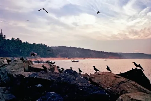 Visanjam - Kerala, India​​​​‌﻿‍﻿​‍​‍‌‍﻿﻿‌﻿​‍‌‍‍‌‌‍‌﻿‌‍‍‌‌‍﻿‍​‍​‍​﻿‍‍​‍​‍‌﻿​﻿‌‍​‌‌‍﻿‍‌‍‍‌‌﻿‌​‌﻿‍‌​‍﻿‍‌‍‍‌‌‍﻿﻿​‍​‍​‍﻿​​‍​‍‌‍‍​‌﻿​‍‌‍‌‌‌‍‌‍​‍​‍​﻿‍‍​‍​‍​‍﻿﻿‌‍​‌‌‍‌​‌‍﻿‌‌‍‍‌‌‍﻿‍​‍﻿﻿‌‍‍‌‌‍﻿‍‌﻿‌​‌‍‌‌‌‍﻿‍‌﻿‌​​‍﻿﻿‌‍‌‌‌‍‌​‌‍‍‌‌﻿‌​​‍﻿﻿‌‍﻿‌‌‍﻿﻿‌‍‌​‌‍‌‌​﻿﻿‌‌﻿​​‌﻿​‍‌‍‌‌‌﻿​﻿‌‍‌‌‌‍﻿‍‌﻿‌​‌‍​‌‌﻿‌​‌‍‍‌‌‍﻿﻿‌‍﻿‍​﻿‍﻿‌‍‍‌‌‍‌​​﻿﻿‌‌‍​‌​﻿‌‍​﻿‌‌​﻿​​​﻿‍​​﻿​‍​﻿​‌‌‍‌‌​‍﻿‌​﻿​﻿​﻿​​‌‍​‍​﻿​﻿​‍﻿‌​﻿‌​​﻿‍‌​﻿‌​‌‍‌‍​‍﻿‌​﻿‍​​﻿​‍‌‍‌​‌‍​﻿​‍﻿‌​﻿​​‌‍‌​‌‍​‌​﻿​‍​﻿‌﻿​﻿‌​​﻿‍​​﻿​‌​﻿‌​‌‍‌​‌‍​﻿‌‍​‍​﻿‍﻿‌﻿‌​‌﻿‍‌‌﻿​​‌‍‌‌​﻿﻿‌‌‍‌﻿‌‍​‌‌‍﻿​‌‍﻿​‌‍‌‌‌﻿​‍‌﻿‍‌​﻿‍﻿‌﻿​​‌‍​‌‌﻿‌​‌‍‍​​﻿﻿‌‌‍‌﻿‌‍​‌‌‍﻿​‌‍﻿​‌‍‌‌‌﻿​‍‌﻿‍‌‌​‍‌‌‍﻿‌‌‍​‌‌‍‌﻿‌‍‌‌‌﻿​﻿​‍‌‌​﻿‌‌‌​​‍‌‌﻿﻿‌‍‍﻿‌‍‌‌‌﻿‍‌​‍‌‌​﻿​﻿‌​‌​​‍‌‌​﻿​﻿‌​‌​​‍‌‌​﻿​‍​﻿​‍​﻿‌‍​﻿​‌​﻿​​​﻿‌‍​﻿​﻿‌‍‌‍​﻿‌​​﻿‌‌​﻿​‍​﻿​​‌‍‌‍​﻿​​​‍‌‌​﻿​‍​﻿​‍​‍‌‌​﻿‌‌‌​‌​​‍﻿‍‌‍​‌‌‍﻿​‌﻿‌​​﻿﻿﻿‌‍​‍‌‍​‌‌﻿​﻿‌‍‌‌‌‌‌‌‌﻿​‍‌‍﻿​​﻿﻿‌​‍‌‌​﻿​‍‌​‌‍‌‍​‌‌‍‌​‌‍﻿‌‌‍‍‌‌‍﻿‍​‍‌‍‌‍‍‌‌‍‌​​﻿﻿‌‌‍​‌​﻿‌‍​﻿‌‌​﻿​​​﻿‍​​﻿​‍​﻿​‌‌‍‌‌​‍﻿‌​﻿​﻿​﻿​​‌‍​‍​﻿​﻿​‍﻿‌​﻿‌​​﻿‍‌​﻿‌​‌‍‌‍​‍﻿‌​﻿‍​​﻿​‍‌‍‌​‌‍​﻿​‍﻿‌​﻿​​‌‍‌​‌‍​‌​﻿​‍​﻿‌﻿​﻿‌​​﻿‍​​﻿​‌​﻿‌​‌‍‌​‌‍​﻿‌‍​‍​‍‌‍‌﻿‌​‌﻿‍‌‌﻿​​‌‍‌‌​﻿﻿‌‌‍‌﻿‌‍​‌‌‍﻿​‌‍﻿​‌‍‌‌‌﻿​‍‌﻿‍‌​‍‌‍‌﻿​​‌‍​‌‌﻿‌​‌‍‍​​﻿﻿‌‌‍‌﻿‌‍​‌‌‍﻿​‌‍﻿​‌‍‌‌‌﻿​‍‌﻿‍‌‌​‍‌‌‍﻿‌‌‍​‌‌‍‌﻿‌‍‌‌‌﻿​﻿​‍‌‌​﻿‌‌‌​​‍‌‌﻿﻿‌‍‍﻿‌‍‌‌‌﻿‍‌​‍‌‌​﻿​﻿‌​‌​​‍‌‌​﻿​﻿‌​‌​​‍‌‌​﻿​‍​﻿​‍​﻿‌‍​﻿​‌​﻿​​​﻿‌‍​﻿​﻿‌‍‌‍​﻿‌​​﻿‌‌​﻿​‍​﻿​​‌‍‌‍​﻿​​​‍‌‌​﻿​‍​﻿​‍​‍‌‌​﻿‌‌‌​‌​​‍﻿‍‌‍​‌‌‍﻿​‌﻿‌​​‍‌‍‌﻿​​‌‍‌‌‌﻿​‍‌﻿​﻿‌﻿​​‌‍‌‌‌‍​﻿‌﻿‌​‌‍‍‌‌﻿‌‍‌‍‌‌​﻿﻿‌‌﻿​​‌﻿‌‌‌‍​‍‌‍﻿​‌‍‍‌‌﻿​﻿‌‍‍​‌‍‌‌‌‍‌​​‍​‍‌﻿﻿‌