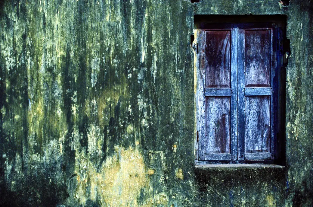 Monsoon Window