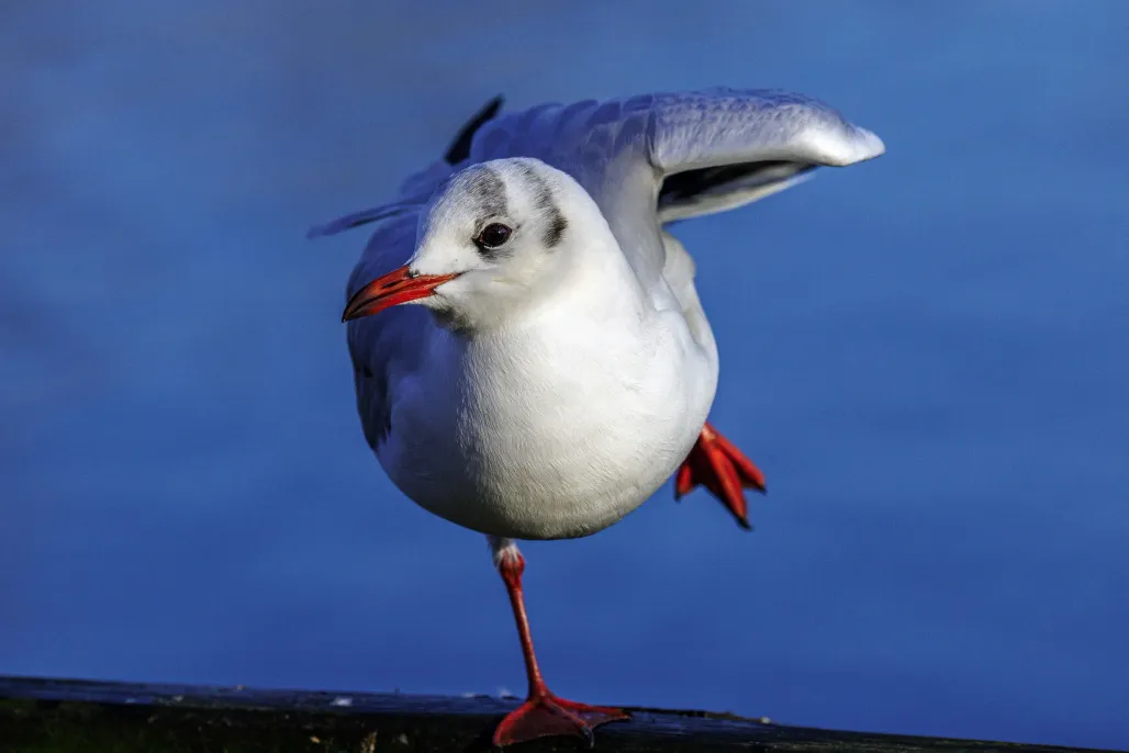Balancing Act​​​​‌﻿‍﻿​‍​‍‌‍﻿﻿‌﻿​‍‌‍‍‌‌‍‌﻿‌‍‍‌‌‍﻿‍​‍​‍​﻿‍‍​‍​‍‌﻿​﻿‌‍​‌‌‍﻿‍‌‍‍‌‌﻿‌​‌﻿‍‌​‍﻿‍‌‍‍‌‌‍﻿﻿​‍​‍​‍﻿​​‍​‍‌‍‍​‌﻿​‍‌‍‌‌‌‍‌‍​‍​‍​﻿‍‍​‍​‍​‍﻿﻿‌‍​‌‌‍‌​‌‍﻿‌‌‍‍‌‌‍﻿‍​‍﻿﻿‌‍‍‌‌‍﻿‍‌﻿‌​‌‍‌‌‌‍﻿‍‌﻿‌​​‍﻿﻿‌‍‌‌‌‍‌​‌‍‍‌‌﻿‌​​‍﻿﻿‌‍﻿‌‌‍﻿﻿‌‍‌​‌‍‌‌​﻿﻿‌‌﻿​​‌﻿​‍‌‍‌‌‌﻿​﻿‌‍‌‌‌‍﻿‍‌﻿‌​‌‍​‌‌﻿‌​‌‍‍‌‌‍﻿﻿‌‍﻿‍​﻿‍﻿‌‍‍‌‌‍‌​​﻿﻿‌​﻿‍‌‌‍‌‌‌‍​‍​﻿​﻿​﻿‍‌​﻿‌​​﻿​﻿​﻿‍​​‍﻿‌‌‍​﻿​﻿‍‌​﻿‌﻿​﻿‍​​‍﻿‌​﻿‌​​﻿​﻿​﻿‌‌​﻿‌‍​‍﻿‌‌‍​‍​﻿‌​‌‍‌​​﻿‌‍​‍﻿‌​﻿‌﻿‌‍‌‍​﻿‌​‌‍‌​‌‍‌​​﻿‍​‌‍​﻿‌‍​‍‌‍​﻿​﻿‌‌​﻿‍‌​﻿​‍​﻿‍﻿‌﻿‌​‌﻿‍‌‌﻿​​‌‍‌‌​﻿﻿‌‌‍​‍‌‍‍‌‌﻿​‍‌‍‌​‌﻿​﻿‌​‌﻿‌‍​‌‌‍﻿​‌‍﻿​‌‍‌‌‌﻿​‍‌﻿‍‌​﻿‍﻿‌﻿​​‌‍​‌‌﻿‌​‌‍‍​​﻿﻿‌‌‍‌﻿‌‍​‌‌‍﻿​‌‍﻿​‌‍‌‌‌﻿​‍‌﻿‍‌‌​‍‌‌‍﻿‌‌‍​‌‌‍‌﻿‌‍‌‌‌﻿​﻿​‍‌‌​﻿‌‌‌​​‍‌‌﻿﻿‌‍‍﻿‌‍‌‌‌﻿‍‌​‍‌‌​﻿​﻿‌​‌​​‍‌‌​﻿​﻿‌​‌​​‍‌‌​﻿​‍​﻿​‍‌‍​‌‌‍‌​​﻿‌﻿‌‍‌‌‌‍‌‍​﻿‌‍‌‍​﻿‌‍‌‌‌‍‌​​﻿‍​‌‍​‌​﻿​﻿​‍‌‌​﻿​‍​﻿​‍​‍‌‌​﻿‌‌‌​‌​​‍﻿‍‌‍​‌‌‍﻿​‌﻿‌​​﻿﻿﻿‌‍​‍‌‍​‌‌﻿​﻿‌‍‌‌‌‌‌‌‌﻿​‍‌‍﻿​​﻿﻿‌​‍‌‌​﻿​‍‌​‌‍‌‍​‌‌‍‌​‌‍﻿‌‌‍‍‌‌‍﻿‍​‍‌‍‌‍‍‌‌‍‌​​﻿﻿‌​﻿‍‌‌‍‌‌‌‍​‍​﻿​﻿​﻿‍‌​﻿‌​​﻿​﻿​﻿‍​​‍﻿‌‌‍​﻿​﻿‍‌​﻿‌﻿​﻿‍​​‍﻿‌​﻿‌​​﻿​﻿​﻿‌‌​﻿‌‍​‍﻿‌‌‍​‍​﻿‌​‌‍‌​​﻿‌‍​‍﻿‌​﻿‌﻿‌‍‌‍​﻿‌​‌‍‌​‌‍‌​​﻿‍​‌‍​﻿‌‍​‍‌‍​﻿​﻿‌‌​﻿‍‌​﻿​‍​‍‌‍‌﻿‌​‌﻿‍‌‌﻿​​‌‍‌‌​﻿﻿‌‌‍​‍‌‍‍‌‌﻿​‍‌‍‌​‌﻿​﻿‌​‌﻿‌‍​‌‌‍﻿​‌‍﻿​‌‍‌‌‌﻿​‍‌﻿‍‌​‍‌‍‌﻿​​‌‍​‌‌﻿‌​‌‍‍​​﻿﻿‌‌‍‌﻿‌‍​‌‌‍﻿​‌‍﻿​‌‍‌‌‌﻿​‍‌﻿‍‌‌​‍‌‌‍﻿‌‌‍​‌‌‍‌﻿‌‍‌‌‌﻿​﻿​‍‌‌​﻿‌‌‌​​‍‌‌﻿﻿‌‍‍﻿‌‍‌‌‌﻿‍‌​‍‌‌​﻿​﻿‌​‌​​‍‌‌​﻿​﻿‌​‌​​‍‌‌​﻿​‍​﻿​‍‌‍​‌‌‍‌​​﻿‌﻿‌‍‌‌‌‍‌‍​﻿‌‍‌‍​﻿‌‍‌‌‌‍‌​​﻿‍​‌‍​‌​﻿​﻿​‍‌‌​﻿​‍​﻿​‍​‍‌‌​﻿‌‌‌​‌​​‍﻿‍‌‍​‌‌‍﻿​‌﻿‌​​‍‌‍‌﻿​​‌‍‌‌‌﻿​‍‌﻿​﻿‌﻿​​‌‍‌‌‌‍​﻿‌﻿‌​‌‍‍‌‌﻿‌‍‌‍‌‌​﻿﻿‌‌﻿​​‌﻿‌‌‌‍​‍‌‍﻿​‌‍‍‌‌﻿​﻿‌‍‍​‌‍‌‌‌‍‌​​‍​‍‌﻿﻿‌