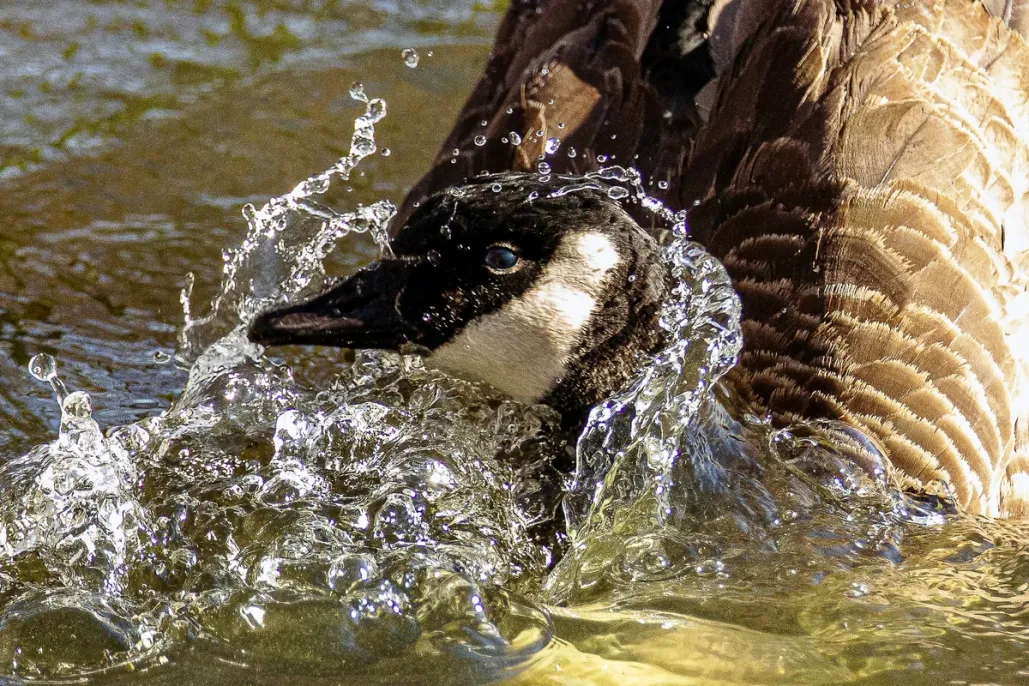 How Do I Look?​​​​‌﻿‍﻿​‍​‍‌‍﻿﻿‌﻿​‍‌‍‍‌‌‍‌﻿‌‍‍‌‌‍﻿‍​‍​‍​﻿‍‍​‍​‍‌﻿​﻿‌‍​‌‌‍﻿‍‌‍‍‌‌﻿‌​‌﻿‍‌​‍﻿‍‌‍‍‌‌‍﻿﻿​‍​‍​‍﻿​​‍​‍‌‍‍​‌﻿​‍‌‍‌‌‌‍‌‍​‍​‍​﻿‍‍​‍​‍​‍﻿﻿‌‍​‌‌‍‌​‌‍﻿‌‌‍‍‌‌‍﻿‍​‍﻿﻿‌‍‍‌‌‍﻿‍‌﻿‌​‌‍‌‌‌‍﻿‍‌﻿‌​​‍﻿﻿‌‍‌‌‌‍‌​‌‍‍‌‌﻿‌​​‍﻿﻿‌‍﻿‌‌‍﻿﻿‌‍‌​‌‍‌‌​﻿﻿‌‌﻿​​‌﻿​‍‌‍‌‌‌﻿​﻿‌‍‌‌‌‍﻿‍‌﻿‌​‌‍​‌‌﻿‌​‌‍‍‌‌‍﻿﻿‌‍﻿‍​﻿‍﻿‌‍‍‌‌‍‌​​﻿﻿‌​﻿‌‌‌‍​‍‌‍​﻿‌‍​‍​﻿​‍​﻿‍​​﻿‌﻿‌‍​﻿​‍﻿‌‌‍‌​​﻿​‍​﻿‌​​﻿‌​​‍﻿‌​﻿‌​​﻿‌​‌‍‌‍​﻿‍‌​‍﻿‌​﻿‍​​﻿​‌‌‍‌​​﻿‌﻿​‍﻿‌​﻿‌‍‌‍​‍​﻿‌​‌‍​‌‌‍‌‍​﻿​﻿​﻿​﻿‌‍‌​​﻿​‍‌‍‌‍​﻿​‍‌‍​‍​﻿‍﻿‌﻿‌​‌﻿‍‌‌﻿​​‌‍‌‌​﻿﻿‌‌‍​‍‌‍‍‌‌﻿​‍‌‍‌​‌﻿​﻿‌​‌﻿‌‍​‌‌‍﻿​‌‍﻿​‌‍‌‌‌﻿​‍‌﻿‍‌​﻿‍﻿‌﻿​​‌‍​‌‌﻿‌​‌‍‍​​﻿﻿‌‌‍‌﻿‌‍​‌‌‍﻿​‌‍﻿​‌‍‌‌‌﻿​‍‌﻿‍‌‌​‍‌‌‍﻿‌‌‍​‌‌‍‌﻿‌‍‌‌‌﻿​﻿​‍‌‌​﻿‌‌‌​​‍‌‌﻿﻿‌‍‍﻿‌‍‌‌‌﻿‍‌​‍‌‌​﻿​﻿‌​‌​​‍‌‌​﻿​﻿‌​‌​​‍‌‌​﻿​‍​﻿​‍​﻿​﻿​﻿‌﻿​﻿​‌​﻿‌​​﻿‌‍​﻿‍​​﻿‍​‌‍​﻿​﻿​﻿‌‍​﻿‌‍​‍‌‍​‌​‍‌‌​﻿​‍​﻿​‍​‍‌‌​﻿‌‌‌​‌​​‍﻿‍‌‍​‌‌‍﻿​‌﻿‌​​﻿﻿﻿‌‍​‍‌‍​‌‌﻿​﻿‌‍‌‌‌‌‌‌‌﻿​‍‌‍﻿​​﻿﻿‌​‍‌‌​﻿​‍‌​‌‍‌‍​‌‌‍‌​‌‍﻿‌‌‍‍‌‌‍﻿‍​‍‌‍‌‍‍‌‌‍‌​​﻿﻿‌​﻿‌‌‌‍​‍‌‍​﻿‌‍​‍​﻿​‍​﻿‍​​﻿‌﻿‌‍​﻿​‍﻿‌‌‍‌​​﻿​‍​﻿‌​​﻿‌​​‍﻿‌​﻿‌​​﻿‌​‌‍‌‍​﻿‍‌​‍﻿‌​﻿‍​​﻿​‌‌‍‌​​﻿‌﻿​‍﻿‌​﻿‌‍‌‍​‍​﻿‌​‌‍​‌‌‍‌‍​﻿​﻿​﻿​﻿‌‍‌​​﻿​‍‌‍‌‍​﻿​‍‌‍​‍​‍‌‍‌﻿‌​‌﻿‍‌‌﻿​​‌‍‌‌​﻿﻿‌‌‍​‍‌‍‍‌‌﻿​‍‌‍‌​‌﻿​﻿‌​‌﻿‌‍​‌‌‍﻿​‌‍﻿​‌‍‌‌‌﻿​‍‌﻿‍‌​‍‌‍‌﻿​​‌‍​‌‌﻿‌​‌‍‍​​﻿﻿‌‌‍‌﻿‌‍​‌‌‍﻿​‌‍﻿​‌‍‌‌‌﻿​‍‌﻿‍‌‌​‍‌‌‍﻿‌‌‍​‌‌‍‌﻿‌‍‌‌‌﻿​﻿​‍‌‌​﻿‌‌‌​​‍‌‌﻿﻿‌‍‍﻿‌‍‌‌‌﻿‍‌​‍‌‌​﻿​﻿‌​‌​​‍‌‌​﻿​﻿‌​‌​​‍‌‌​﻿​‍​﻿​‍​﻿​﻿​﻿‌﻿​﻿​‌​﻿‌​​﻿‌‍​﻿‍​​﻿‍​‌‍​﻿​﻿​﻿‌‍​﻿‌‍​‍‌‍​‌​‍‌‌​﻿​‍​﻿​‍​‍‌‌​﻿‌‌‌​‌​​‍﻿‍‌‍​‌‌‍﻿​‌﻿‌​​‍‌‍‌﻿​​‌‍‌‌‌﻿​‍‌﻿​﻿‌﻿​​‌‍‌‌‌‍​﻿‌﻿‌​‌‍‍‌‌﻿‌‍‌‍‌‌​﻿﻿‌‌﻿​​‌﻿‌‌‌‍​‍‌‍﻿​‌‍‍‌‌﻿​﻿‌‍‍​‌‍‌‌‌‍‌​​‍​‍‌﻿﻿‌