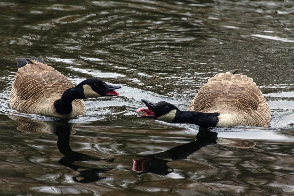 I was just saying...​​​​‌﻿‍﻿​‍​‍‌‍﻿﻿‌﻿​‍‌‍‍‌‌‍‌﻿‌‍‍‌‌‍﻿‍​‍​‍​﻿‍‍​‍​‍‌﻿​﻿‌‍​‌‌‍﻿‍‌‍‍‌‌﻿‌​‌﻿‍‌​‍﻿‍‌‍‍‌‌‍﻿﻿​‍​‍​‍﻿​​‍​‍‌‍‍​‌﻿​‍‌‍‌‌‌‍‌‍​‍​‍​﻿‍‍​‍​‍​‍﻿﻿‌‍​‌‌‍‌​‌‍﻿‌‌‍‍‌‌‍﻿‍​‍﻿﻿‌‍‍‌‌‍﻿‍‌﻿‌​‌‍‌‌‌‍﻿‍‌﻿‌​​‍﻿﻿‌‍‌‌‌‍‌​‌‍‍‌‌﻿‌​​‍﻿﻿‌‍﻿‌‌‍﻿﻿‌‍‌​‌‍‌‌​﻿﻿‌‌﻿​​‌﻿​‍‌‍‌‌‌﻿​﻿‌‍‌‌‌‍﻿‍‌﻿‌​‌‍​‌‌﻿‌​‌‍‍‌‌‍﻿﻿‌‍﻿‍​﻿‍﻿‌‍‍‌‌‍‌​​﻿﻿‌​﻿‌‌‌‍​‍‌‍​﻿‌‍​‍​﻿​‍​﻿‍​​﻿‌﻿‌‍​﻿​‍﻿‌‌‍‌​​﻿​‍​﻿‌​​﻿‌​​‍﻿‌​﻿‌​​﻿‌​‌‍‌‍​﻿‍‌​‍﻿‌​﻿‍​​﻿​‌‌‍‌​​﻿‌﻿​‍﻿‌​﻿‌‍‌‍​‍​﻿‌​‌‍​‌‌‍‌‍​﻿​﻿​﻿​﻿‌‍‌​​﻿​‍‌‍‌‍​﻿​‍‌‍​‍​﻿‍﻿‌﻿‌​‌﻿‍‌‌﻿​​‌‍‌‌​﻿﻿‌‌‍​‍‌‍‍‌‌﻿​‍‌‍‌​‌﻿​﻿‌​‌﻿‌‍​‌‌‍﻿​‌‍﻿​‌‍‌‌‌﻿​‍‌﻿‍‌​﻿‍﻿‌﻿​​‌‍​‌‌﻿‌​‌‍‍​​﻿﻿‌‌‍‌﻿‌‍​‌‌‍﻿​‌‍﻿​‌‍‌‌‌﻿​‍‌﻿‍‌‌​‍‌‌‍﻿‌‌‍​‌‌‍‌﻿‌‍‌‌‌﻿​﻿​‍‌‌​﻿‌‌‌​​‍‌‌﻿﻿‌‍‍﻿‌‍‌‌‌﻿‍‌​‍‌‌​﻿​﻿‌​‌​​‍‌‌​﻿​﻿‌​‌​​‍‌‌​﻿​‍​﻿​‍‌‍‌‌‌‍‌​​﻿​﻿‌‍​‌​﻿‌‍​﻿‌﻿‌‍‌‍​﻿​‍‌‍‌​‌‍‌‍​﻿‌﻿‌‍‌​​‍‌‌​﻿​‍​﻿​‍​‍‌‌​﻿‌‌‌​‌​​‍﻿‍‌‍​‌‌‍﻿​‌﻿‌​​﻿﻿﻿‌‍​‍‌‍​‌‌﻿​﻿‌‍‌‌‌‌‌‌‌﻿​‍‌‍﻿​​﻿﻿‌​‍‌‌​﻿​‍‌​‌‍‌‍​‌‌‍‌​‌‍﻿‌‌‍‍‌‌‍﻿‍​‍‌‍‌‍‍‌‌‍‌​​﻿﻿‌​﻿‌‌‌‍​‍‌‍​﻿‌‍​‍​﻿​‍​﻿‍​​﻿‌﻿‌‍​﻿​‍﻿‌‌‍‌​​﻿​‍​﻿‌​​﻿‌​​‍﻿‌​﻿‌​​﻿‌​‌‍‌‍​﻿‍‌​‍﻿‌​﻿‍​​﻿​‌‌‍‌​​﻿‌﻿​‍﻿‌​﻿‌‍‌‍​‍​﻿‌​‌‍​‌‌‍‌‍​﻿​﻿​﻿​﻿‌‍‌​​﻿​‍‌‍‌‍​﻿​‍‌‍​‍​‍‌‍‌﻿‌​‌﻿‍‌‌﻿​​‌‍‌‌​﻿﻿‌‌‍​‍‌‍‍‌‌﻿​‍‌‍‌​‌﻿​﻿‌​‌﻿‌‍​‌‌‍﻿​‌‍﻿​‌‍‌‌‌﻿​‍‌﻿‍‌​‍‌‍‌﻿​​‌‍​‌‌﻿‌​‌‍‍​​﻿﻿‌‌‍‌﻿‌‍​‌‌‍﻿​‌‍﻿​‌‍‌‌‌﻿​‍‌﻿‍‌‌​‍‌‌‍﻿‌‌‍​‌‌‍‌﻿‌‍‌‌‌﻿​﻿​‍‌‌​﻿‌‌‌​​‍‌‌﻿﻿‌‍‍﻿‌‍‌‌‌﻿‍‌​‍‌‌​﻿​﻿‌​‌​​‍‌‌​﻿​﻿‌​‌​​‍‌‌​﻿​‍​﻿​‍‌‍‌‌‌‍‌​​﻿​﻿‌‍​‌​﻿‌‍​﻿‌﻿‌‍‌‍​﻿​‍‌‍‌​‌‍‌‍​﻿‌﻿‌‍‌​​‍‌‌​﻿​‍​﻿​‍​‍‌‌​﻿‌‌‌​‌​​‍﻿‍‌‍​‌‌‍﻿​‌﻿‌​​‍‌‍‌﻿​​‌‍‌‌‌﻿​‍‌﻿​﻿‌﻿​​‌‍‌‌‌‍​﻿‌﻿‌​‌‍‍‌‌﻿‌‍‌‍‌‌​﻿﻿‌‌﻿​​‌﻿‌‌‌‍​‍‌‍﻿​‌‍‍‌‌﻿​﻿‌‍‍​‌‍‌‌‌‍‌​​‍​‍‌﻿﻿‌