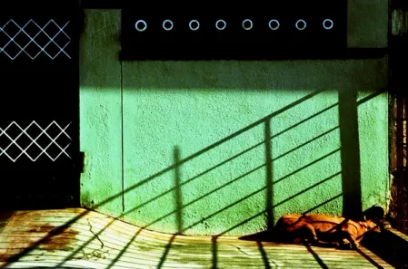 dog in the sun​​​​‌﻿‍﻿​‍​‍‌‍﻿﻿‌﻿​‍‌‍‍‌‌‍‌﻿‌‍‍‌‌‍﻿‍​‍​‍​﻿‍‍​‍​‍‌﻿​﻿‌‍​‌‌‍﻿‍‌‍‍‌‌﻿‌​‌﻿‍‌​‍﻿‍‌‍‍‌‌‍﻿﻿​‍​‍​‍﻿​​‍​‍‌‍‍​‌﻿​‍‌‍‌‌‌‍‌‍​‍​‍​﻿‍‍​‍​‍​‍﻿﻿‌‍​‌‌‍‌​‌‍﻿‌‌‍‍‌‌‍﻿‍​‍﻿﻿‌‍‍‌‌‍﻿‍‌﻿‌​‌‍‌‌‌‍﻿‍‌﻿‌​​‍﻿﻿‌‍‌‌‌‍‌​‌‍‍‌‌﻿‌​​‍﻿﻿‌‍﻿‌‌‍﻿﻿‌‍‌​‌‍‌‌​﻿﻿‌‌﻿​​‌﻿​‍‌‍‌‌‌﻿​﻿‌‍‌‌‌‍﻿‍‌﻿‌​‌‍​‌‌﻿‌​‌‍‍‌‌‍﻿﻿‌‍﻿‍​﻿‍﻿‌‍‍‌‌‍‌​​﻿﻿‌‌‍​‌‌‍‌​​﻿​‌​﻿​﻿‌‍​﻿‌‍​‌​﻿​​​﻿‌​​‍﻿‌​﻿​﻿​﻿‍‌​﻿​﻿​﻿‍‌​‍﻿‌​﻿‌​‌‍​﻿‌‍​﻿​﻿‌​​‍﻿‌​﻿‍‌‌‍​‌​﻿‌﻿‌‍‌​​‍﻿‌​﻿‌‌‌‍‌​‌‍​﻿​﻿​​‌‍​‍‌‍‌​​﻿​‍‌‍‌‍​﻿‍​​﻿​﻿​﻿‍‌‌‍​‌​﻿‍﻿‌﻿‌​‌﻿‍‌‌﻿​​‌‍‌‌​﻿﻿‌‌‍‌﻿‌‍​‌‌‍﻿​‌‍﻿​‌‍‌‌‌﻿​‍‌﻿‍‌​﻿‍﻿‌﻿​​‌‍​‌‌﻿‌​‌‍‍​​﻿﻿‌‌‍﻿‌‌‍​‌‌‍‍‌‌‍﻿‍‌​‍‌‌‍﻿‌‌‍​‌‌‍‌﻿‌‍‌‌​‍﻿‍‌‍​‌‌‍﻿​‌﻿‌​​﻿﻿﻿‌‍​‍‌‍​‌‌﻿​﻿‌‍‌‌‌‌‌‌‌﻿​‍‌‍﻿​​﻿﻿‌​‍‌‌​﻿​‍‌​‌‍‌‍​‌‌‍‌​‌‍﻿‌‌‍‍‌‌‍﻿‍​‍‌‍‌‍‍‌‌‍‌​​﻿﻿‌‌‍​‌‌‍‌​​﻿​‌​﻿​﻿‌‍​﻿‌‍​‌​﻿​​​﻿‌​​‍﻿‌​﻿​﻿​﻿‍‌​﻿​﻿​﻿‍‌​‍﻿‌​﻿‌​‌‍​﻿‌‍​﻿​﻿‌​​‍﻿‌​﻿‍‌‌‍​‌​﻿‌﻿‌‍‌​​‍﻿‌​﻿‌‌‌‍‌​‌‍​﻿​﻿​​‌‍​‍‌‍‌​​﻿​‍‌‍‌‍​﻿‍​​﻿​﻿​﻿‍‌‌‍​‌​‍‌‍‌﻿‌​‌﻿‍‌‌﻿​​‌‍‌‌​﻿﻿‌‌‍‌﻿‌‍​‌‌‍﻿​‌‍﻿​‌‍‌‌‌﻿​‍‌﻿‍‌​‍‌‍‌﻿​​‌‍​‌‌﻿‌​‌‍‍​​﻿﻿‌‌‍﻿‌‌‍​‌‌‍‍‌‌‍﻿‍‌​‍‌‌‍﻿‌‌‍​‌‌‍‌﻿‌‍‌‌​‍﻿‍‌‍​‌‌‍﻿​‌﻿‌​​‍‌‍‌﻿​​‌‍‌‌‌﻿​‍‌﻿​﻿‌﻿​​‌‍‌‌‌‍​﻿‌﻿‌​‌‍‍‌‌﻿‌‍‌‍‌‌​﻿﻿‌‌﻿​​‌﻿‌‌‌‍​‍‌‍﻿​‌‍‍‌‌﻿​﻿‌‍‍​‌‍‌‌‌‍‌​​‍​‍‌﻿﻿‌