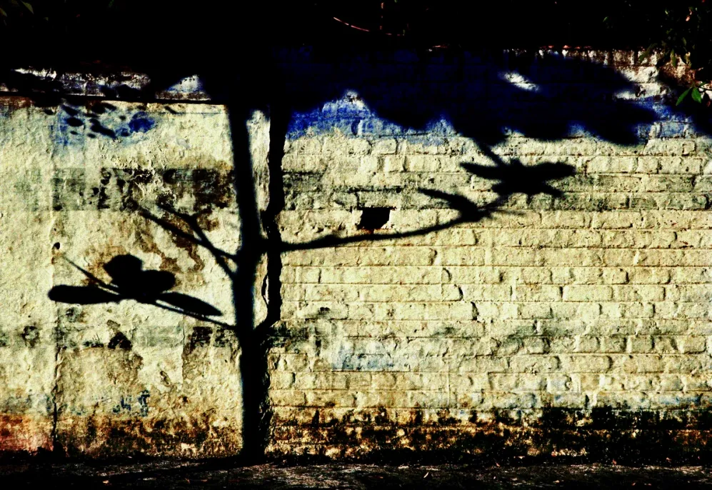 Tree Shadow - Pondicherry, India​​​​‌﻿‍﻿​‍​‍‌‍﻿﻿‌﻿​‍‌‍‍‌‌‍‌﻿‌‍‍‌‌‍﻿‍​‍​‍​﻿‍‍​‍​‍‌﻿​﻿‌‍​‌‌‍﻿‍‌‍‍‌‌﻿‌​‌﻿‍‌​‍﻿‍‌‍‍‌‌‍﻿﻿​‍​‍​‍﻿​​‍​‍‌‍‍​‌﻿​‍‌‍‌‌‌‍‌‍​‍​‍​﻿‍‍​‍​‍​‍﻿﻿‌‍​‌‌‍‌​‌‍﻿‌‌‍‍‌‌‍﻿‍​‍﻿﻿‌‍‍‌‌‍﻿‍‌﻿‌​‌‍‌‌‌‍﻿‍‌﻿‌​​‍﻿﻿‌‍‌‌‌‍‌​‌‍‍‌‌﻿‌​​‍﻿﻿‌‍﻿‌‌‍﻿﻿‌‍‌​‌‍‌‌​﻿﻿‌‌﻿​​‌﻿​‍‌‍‌‌‌﻿​﻿‌‍‌‌‌‍﻿‍‌﻿‌​‌‍​‌‌﻿‌​‌‍‍‌‌‍﻿﻿‌‍﻿‍​﻿‍﻿‌‍‍‌‌‍‌​​﻿﻿‌‌‍​‌‌‍‌​​﻿​‌​﻿​﻿‌‍​﻿‌‍​‌​﻿​​​﻿‌​​‍﻿‌​﻿​﻿​﻿‍‌​﻿​﻿​﻿‍‌​‍﻿‌​﻿‌​‌‍​﻿‌‍​﻿​﻿‌​​‍﻿‌​﻿‍‌‌‍​‌​﻿‌﻿‌‍‌​​‍﻿‌​﻿‌‌‌‍‌​‌‍​﻿​﻿​​‌‍​‍‌‍‌​​﻿​‍‌‍‌‍​﻿‍​​﻿​﻿​﻿‍‌‌‍​‌​﻿‍﻿‌﻿‌​‌﻿‍‌‌﻿​​‌‍‌‌​﻿﻿‌‌‍‌﻿‌‍​‌‌‍﻿​‌‍﻿​‌‍‌‌‌﻿​‍‌﻿‍‌​﻿‍﻿‌﻿​​‌‍​‌‌﻿‌​‌‍‍​​﻿﻿‌‌‍‌﻿‌‍​‌‌‍﻿​‌‍﻿​‌‍‌‌‌﻿​‍‌﻿‍‌‌​‍‌‌‍﻿‌‌‍​‌‌‍‌﻿‌‍‌‌‌﻿​﻿​‍‌‌​﻿‌‌‌​​‍‌‌﻿﻿‌‍‍﻿‌‍‌‌‌﻿‍‌​‍‌‌​﻿​﻿‌​‌​​‍‌‌​﻿​﻿‌​‌​​‍‌‌​﻿​‍​﻿​‍​﻿​​​﻿‌‌‌‍‌​‌‍‌‍‌‍​‍​﻿‍​‌‍‌​‌‍​﻿‌‍‌‍​﻿‌﻿​﻿​​‌‍​﻿​‍‌‌​﻿​‍​﻿​‍​‍‌‌​﻿‌‌‌​‌​​‍﻿‍‌‍​‌‌‍﻿​‌﻿‌​​﻿﻿﻿‌‍​‍‌‍​‌‌﻿​﻿‌‍‌‌‌‌‌‌‌﻿​‍‌‍﻿​​﻿﻿‌​‍‌‌​﻿​‍‌​‌‍‌‍​‌‌‍‌​‌‍﻿‌‌‍‍‌‌‍﻿‍​‍‌‍‌‍‍‌‌‍‌​​﻿﻿‌‌‍​‌‌‍‌​​﻿​‌​﻿​﻿‌‍​﻿‌‍​‌​﻿​​​﻿‌​​‍﻿‌​﻿​﻿​﻿‍‌​﻿​﻿​﻿‍‌​‍﻿‌​﻿‌​‌‍​﻿‌‍​﻿​﻿‌​​‍﻿‌​﻿‍‌‌‍​‌​﻿‌﻿‌‍‌​​‍﻿‌​﻿‌‌‌‍‌​‌‍​﻿​﻿​​‌‍​‍‌‍‌​​﻿​‍‌‍‌‍​﻿‍​​﻿​﻿​﻿‍‌‌‍​‌​‍‌‍‌﻿‌​‌﻿‍‌‌﻿​​‌‍‌‌​﻿﻿‌‌‍‌﻿‌‍​‌‌‍﻿​‌‍﻿​‌‍‌‌‌﻿​‍‌﻿‍‌​‍‌‍‌﻿​​‌‍​‌‌﻿‌​‌‍‍​​﻿﻿‌‌‍‌﻿‌‍​‌‌‍﻿​‌‍﻿​‌‍‌‌‌﻿​‍‌﻿‍‌‌​‍‌‌‍﻿‌‌‍​‌‌‍‌﻿‌‍‌‌‌﻿​﻿​‍‌‌​﻿‌‌‌​​‍‌‌﻿﻿‌‍‍﻿‌‍‌‌‌﻿‍‌​‍‌‌​﻿​﻿‌​‌​​‍‌‌​﻿​﻿‌​‌​​‍‌‌​﻿​‍​﻿​‍​﻿​​​﻿‌‌‌‍‌​‌‍‌‍‌‍​‍​﻿‍​‌‍‌​‌‍​﻿‌‍‌‍​﻿‌﻿​﻿​​‌‍​﻿​‍‌‌​﻿​‍​﻿​‍​‍‌‌​﻿‌‌‌​‌​​‍﻿‍‌‍​‌‌‍﻿​‌﻿‌​​‍‌‍‌﻿​​‌‍‌‌‌﻿​‍‌﻿​﻿‌﻿​​‌‍‌‌‌‍​﻿‌﻿‌​‌‍‍‌‌﻿‌‍‌‍‌‌​﻿﻿‌‌﻿​​‌﻿‌‌‌‍​‍‌‍﻿​‌‍‍‌‌﻿​﻿‌‍‍​‌‍‌‌‌‍‌​​‍​‍‌﻿﻿‌
