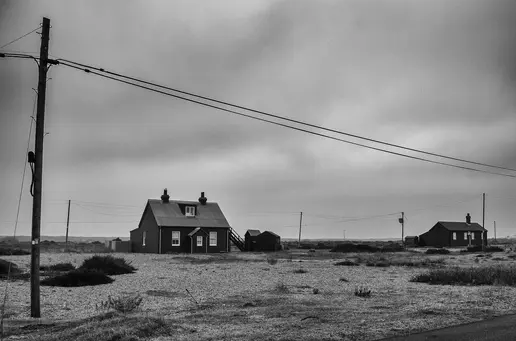 Dungeness 3