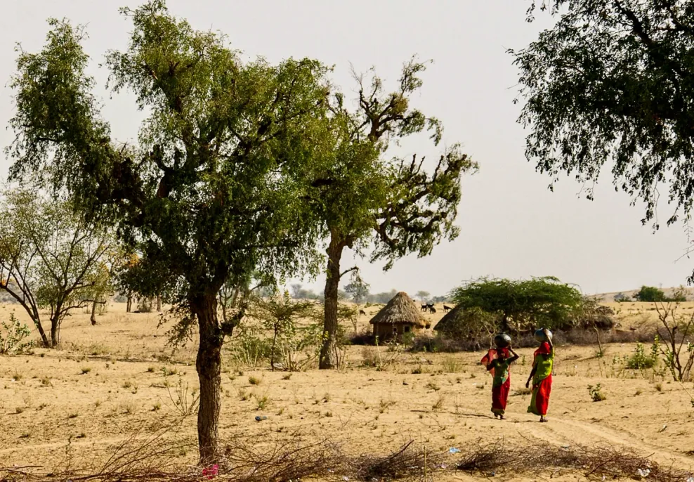 Desert Tree - Bambor Darjiyan, Jodhpur, India​​​​‌﻿‍﻿​‍​‍‌‍﻿﻿‌﻿​‍‌‍‍‌‌‍‌﻿‌‍‍‌‌‍﻿‍​‍​‍​﻿‍‍​‍​‍‌﻿​﻿‌‍​‌‌‍﻿‍‌‍‍‌‌﻿‌​‌﻿‍‌​‍﻿‍‌‍‍‌‌‍﻿﻿​‍​‍​‍﻿​​‍​‍‌‍‍​‌﻿​‍‌‍‌‌‌‍‌‍​‍​‍​﻿‍‍​‍​‍​‍﻿﻿‌‍​‌‌‍‌​‌‍﻿‌‌‍‍‌‌‍﻿‍​‍﻿﻿‌‍‍‌‌‍﻿‍‌﻿‌​‌‍‌‌‌‍﻿‍‌﻿‌​​‍﻿﻿‌‍‌‌‌‍‌​‌‍‍‌‌﻿‌​​‍﻿﻿‌‍﻿‌‌‍﻿﻿‌‍‌​‌‍‌‌​﻿﻿‌‌﻿​​‌﻿​‍‌‍‌‌‌﻿​﻿‌‍‌‌‌‍﻿‍‌﻿‌​‌‍​‌‌﻿‌​‌‍‍‌‌‍﻿﻿‌‍﻿‍​﻿‍﻿‌‍‍‌‌‍‌​​﻿﻿‌​﻿‌﻿‌‍​‌​﻿‌‌​﻿‌​‌‍​﻿‌‍​‍​﻿​﻿​﻿‌‌​‍﻿‌​﻿​‍‌‍​‍​﻿‌‌​﻿​‍​‍﻿‌​﻿‌​​﻿​‍​﻿​​​﻿‌‍​‍﻿‌​﻿‍​‌‍‌‌​﻿‌‌​﻿​​​‍﻿‌‌‍‌​​﻿​﻿​﻿‌﻿‌‍​‍​﻿‍​‌‍​‌​﻿‍​​﻿‌‌​﻿​​‌‍​‍‌‍​‌‌‍​‌​﻿‍﻿‌﻿‌​‌﻿‍‌‌﻿​​‌‍‌‌​﻿﻿‌‌‍‌﻿‌‍​‌‌‍﻿​‌‍﻿​‌‍‌‌‌﻿​‍‌﻿‍‌​﻿‍﻿‌﻿​​‌‍​‌‌﻿‌​‌‍‍​​﻿﻿‌‌‍‌﻿‌‍​‌‌‍﻿​‌‍﻿​‌‍‌‌‌﻿​‍‌﻿‍‌‌​‍‌‌‍﻿‌‌‍​‌‌‍‌﻿‌‍‌‌‌﻿​﻿​‍‌‌​﻿‌‌‌​​‍‌‌﻿﻿‌‍‍﻿‌‍‌‌‌﻿‍‌​‍‌‌​﻿​﻿‌​‌​​‍‌‌​﻿​﻿‌​‌​​‍‌‌​﻿​‍​﻿​‍‌‍​﻿​﻿‍‌​﻿‌‌‌‍‌‌‌‍​‌‌‍‌​​﻿‍‌​﻿‍‌​﻿​‌​﻿‍​​﻿‌​​﻿‍‌​‍‌‌​﻿​‍​﻿​‍​‍‌‌​﻿‌‌‌​‌​​‍﻿‍‌‍​‌‌‍﻿​‌﻿‌​​﻿﻿﻿‌‍​‍‌‍​‌‌﻿​﻿‌‍‌‌‌‌‌‌‌﻿​‍‌‍﻿​​﻿﻿‌​‍‌‌​﻿​‍‌​‌‍‌‍​‌‌‍‌​‌‍﻿‌‌‍‍‌‌‍﻿‍​‍‌‍‌‍‍‌‌‍‌​​﻿﻿‌​﻿‌﻿‌‍​‌​﻿‌‌​﻿‌​‌‍​﻿‌‍​‍​﻿​﻿​﻿‌‌​‍﻿‌​﻿​‍‌‍​‍​﻿‌‌​﻿​‍​‍﻿‌​﻿‌​​﻿​‍​﻿​​​﻿‌‍​‍﻿‌​﻿‍​‌‍‌‌​﻿‌‌​﻿​​​‍﻿‌‌‍‌​​﻿​﻿​﻿‌﻿‌‍​‍​﻿‍​‌‍​‌​﻿‍​​﻿‌‌​﻿​​‌‍​‍‌‍​‌‌‍​‌​‍‌‍‌﻿‌​‌﻿‍‌‌﻿​​‌‍‌‌​﻿﻿‌‌‍‌﻿‌‍​‌‌‍﻿​‌‍﻿​‌‍‌‌‌﻿​‍‌﻿‍‌​‍‌‍‌﻿​​‌‍​‌‌﻿‌​‌‍‍​​﻿﻿‌‌‍‌﻿‌‍​‌‌‍﻿​‌‍﻿​‌‍‌‌‌﻿​‍‌﻿‍‌‌​‍‌‌‍﻿‌‌‍​‌‌‍‌﻿‌‍‌‌‌﻿​﻿​‍‌‌​﻿‌‌‌​​‍‌‌﻿﻿‌‍‍﻿‌‍‌‌‌﻿‍‌​‍‌‌​﻿​﻿‌​‌​​‍‌‌​﻿​﻿‌​‌​​‍‌‌​﻿​‍​﻿​‍‌‍​﻿​﻿‍‌​﻿‌‌‌‍‌‌‌‍​‌‌‍‌​​﻿‍‌​﻿‍‌​﻿​‌​﻿‍​​﻿‌​​﻿‍‌​‍‌‌​﻿​‍​﻿​‍​‍‌‌​﻿‌‌‌​‌​​‍﻿‍‌‍​‌‌‍﻿​‌﻿‌​​‍‌‍‌﻿​​‌‍‌‌‌﻿​‍‌﻿​﻿‌﻿​​‌‍‌‌‌‍​﻿‌﻿‌​‌‍‍‌‌﻿‌‍‌‍‌‌​﻿﻿‌‌﻿​​‌﻿‌‌‌‍​‍‌‍﻿​‌‍‍‌‌﻿​﻿‌‍‍​‌‍‌‌‌‍‌​​‍​‍‌﻿﻿‌