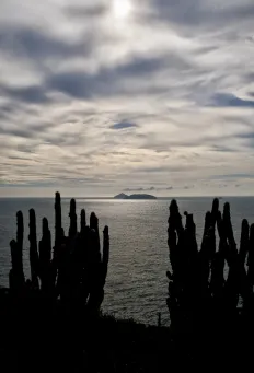 Parque Estadual - Armação dos Búzios, Brazil​​​​‌﻿‍﻿​‍​‍‌‍﻿﻿‌﻿​‍‌‍‍‌‌‍‌﻿‌‍‍‌‌‍﻿‍​‍​‍​﻿‍‍​‍​‍‌﻿​﻿‌‍​‌‌‍﻿‍‌‍‍‌‌﻿‌​‌﻿‍‌​‍﻿‍‌‍‍‌‌‍﻿﻿​‍​‍​‍﻿​​‍​‍‌‍‍​‌﻿​‍‌‍‌‌‌‍‌‍​‍​‍​﻿‍‍​‍​‍​‍﻿﻿‌‍​‌‌‍‌​‌‍﻿‌‌‍‍‌‌‍﻿‍​‍﻿﻿‌‍‍‌‌‍﻿‍‌﻿‌​‌‍‌‌‌‍﻿‍‌﻿‌​​‍﻿﻿‌‍‌‌‌‍‌​‌‍‍‌‌﻿‌​​‍﻿﻿‌‍﻿‌‌‍﻿﻿‌‍‌​‌‍‌‌​﻿﻿‌‌﻿​​‌﻿​‍‌‍‌‌‌﻿​﻿‌‍‌‌‌‍﻿‍‌﻿‌​‌‍​‌‌﻿‌​‌‍‍‌‌‍﻿﻿‌‍﻿‍​﻿‍﻿‌‍‍‌‌‍‌​​﻿﻿‌​﻿‌​‌‍​‍​﻿‌‌‌‍‌​​﻿​‌‌‍‌‍‌‍​‌​﻿‌​​‍﻿‌‌‍‌‌​﻿​​​﻿‌‍‌‍‌‍​‍﻿‌​﻿‌​​﻿​​​﻿‍‌‌‍‌‌​‍﻿‌​﻿‍‌‌‍​﻿‌‍‌‍​﻿​﻿​‍﻿‌‌‍‌‌​﻿‌‌​﻿​‌‌‍‌‍​﻿‌‍‌‍​‌​﻿​​​﻿‌﻿​﻿‍‌‌‍​﻿​﻿​﻿‌‍​‍​﻿‍﻿‌﻿‌​‌﻿‍‌‌﻿​​‌‍‌‌​﻿﻿‌‌‍‌﻿‌‍​‌‌‍﻿​‌‍﻿​‌‍‌‌‌﻿​‍‌﻿‍‌​﻿‍﻿‌﻿​​‌‍​‌‌﻿‌​‌‍‍​​﻿﻿‌‌‍‌﻿‌‍​‌‌‍﻿​‌‍﻿​‌‍‌‌‌﻿​‍‌﻿‍‌‌​‍‌‌‍﻿‌‌‍​‌‌‍‌﻿‌‍‌‌‌﻿​﻿​‍‌‌​﻿‌‌‌​​‍‌‌﻿﻿‌‍‍﻿‌‍‌‌‌﻿‍‌​‍‌‌​﻿​﻿‌​‌​​‍‌‌​﻿​﻿‌​‌​​‍‌‌​﻿​‍​﻿​‍​﻿‌​‌‍‌‌‌‍​‍​﻿​‍​﻿‌‍‌‍​‍​﻿​‍​﻿​﻿​﻿‌‍​﻿‌‌​﻿‌​​﻿​​​‍‌‌​﻿​‍​﻿​‍​‍‌‌​﻿‌‌‌​‌​​‍﻿‍‌‍​‌‌‍﻿​‌﻿‌​​﻿﻿﻿‌‍​‍‌‍​‌‌﻿​﻿‌‍‌‌‌‌‌‌‌﻿​‍‌‍﻿​​﻿﻿‌​‍‌‌​﻿​‍‌​‌‍‌‍​‌‌‍‌​‌‍﻿‌‌‍‍‌‌‍﻿‍​‍‌‍‌‍‍‌‌‍‌​​﻿﻿‌​﻿‌​‌‍​‍​﻿‌‌‌‍‌​​﻿​‌‌‍‌‍‌‍​‌​﻿‌​​‍﻿‌‌‍‌‌​﻿​​​﻿‌‍‌‍‌‍​‍﻿‌​﻿‌​​﻿​​​﻿‍‌‌‍‌‌​‍﻿‌​﻿‍‌‌‍​﻿‌‍‌‍​﻿​﻿​‍﻿‌‌‍‌‌​﻿‌‌​﻿​‌‌‍‌‍​﻿‌‍‌‍​‌​﻿​​​﻿‌﻿​﻿‍‌‌‍​﻿​﻿​﻿‌‍​‍​‍‌‍‌﻿‌​‌﻿‍‌‌﻿​​‌‍‌‌​﻿﻿‌‌‍‌﻿‌‍​‌‌‍﻿​‌‍﻿​‌‍‌‌‌﻿​‍‌﻿‍‌​‍‌‍‌﻿​​‌‍​‌‌﻿‌​‌‍‍​​﻿﻿‌‌‍‌﻿‌‍​‌‌‍﻿​‌‍﻿​‌‍‌‌‌﻿​‍‌﻿‍‌‌​‍‌‌‍﻿‌‌‍​‌‌‍‌﻿‌‍‌‌‌﻿​﻿​‍‌‌​﻿‌‌‌​​‍‌‌﻿﻿‌‍‍﻿‌‍‌‌‌﻿‍‌​‍‌‌​﻿​﻿‌​‌​​‍‌‌​﻿​﻿‌​‌​​‍‌‌​﻿​‍​﻿​‍​﻿‌​‌‍‌‌‌‍​‍​﻿​‍​﻿‌‍‌‍​‍​﻿​‍​﻿​﻿​﻿‌‍​﻿‌‌​﻿‌​​﻿​​​‍‌‌​﻿​‍​﻿​‍​‍‌‌​﻿‌‌‌​‌​​‍﻿‍‌‍​‌‌‍﻿​‌﻿‌​​‍‌‍‌﻿​​‌‍‌‌‌﻿​‍‌﻿​﻿‌﻿​​‌‍‌‌‌‍​﻿‌﻿‌​‌‍‍‌‌﻿‌‍‌‍‌‌​﻿﻿‌‌﻿​​‌﻿‌‌‌‍​‍‌‍﻿​‌‍‍‌‌﻿​﻿‌‍‍​‌‍‌‌‌‍‌​​‍​‍‌﻿﻿‌