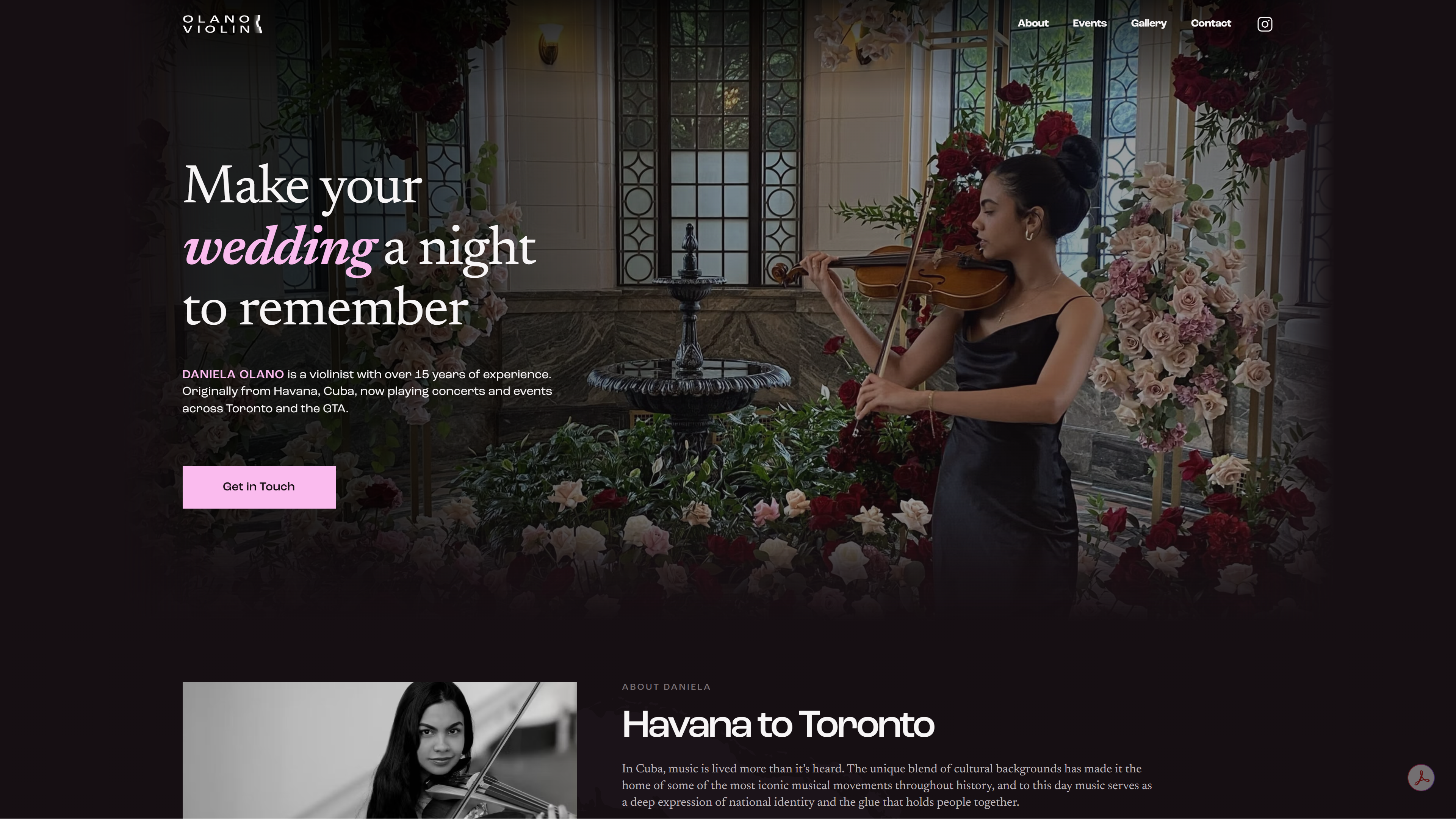 Olano Violin website hero section
