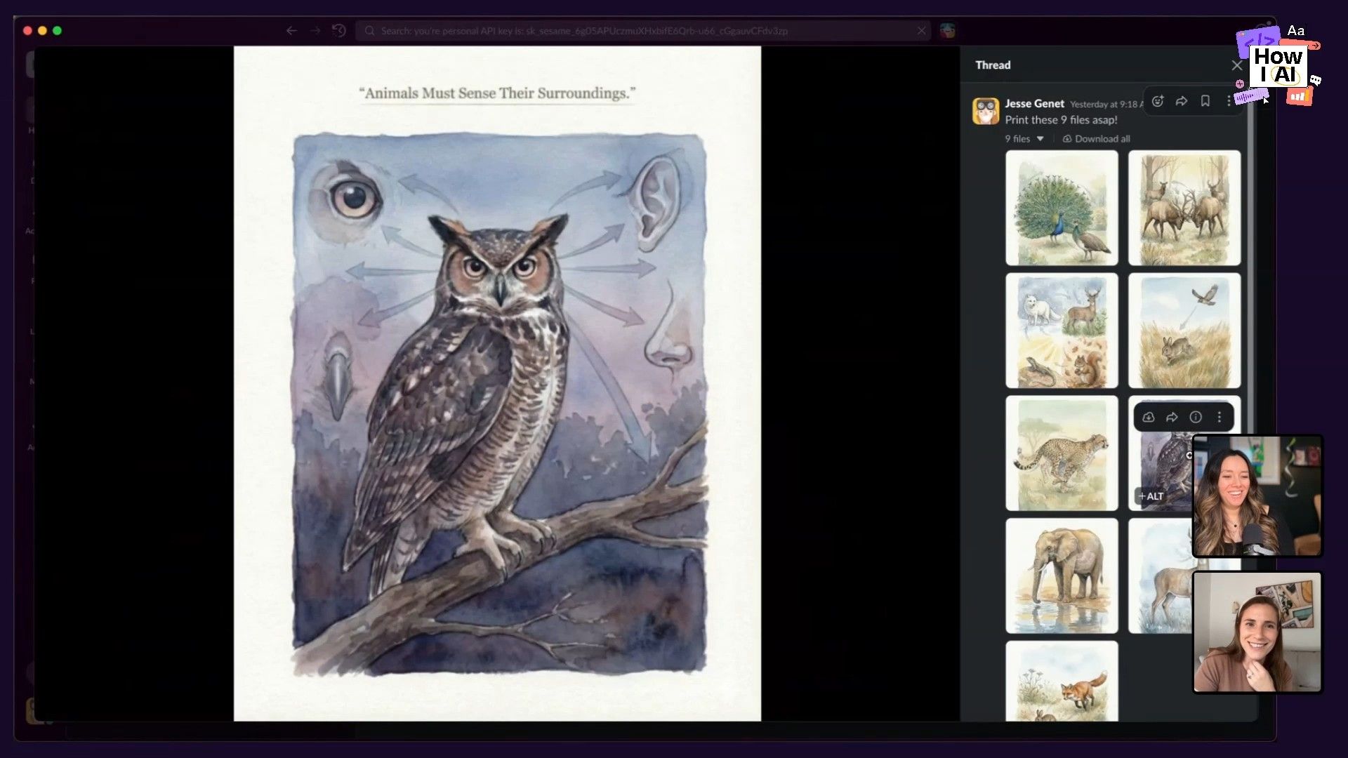 A detailed AI-generated watercolor illustration of an owl and its sensory organs, alongside a Slack gallery showcasing a collection of other AI-generated watercolor animal images, demonstrating the visual capabilities discussed in the podcast.