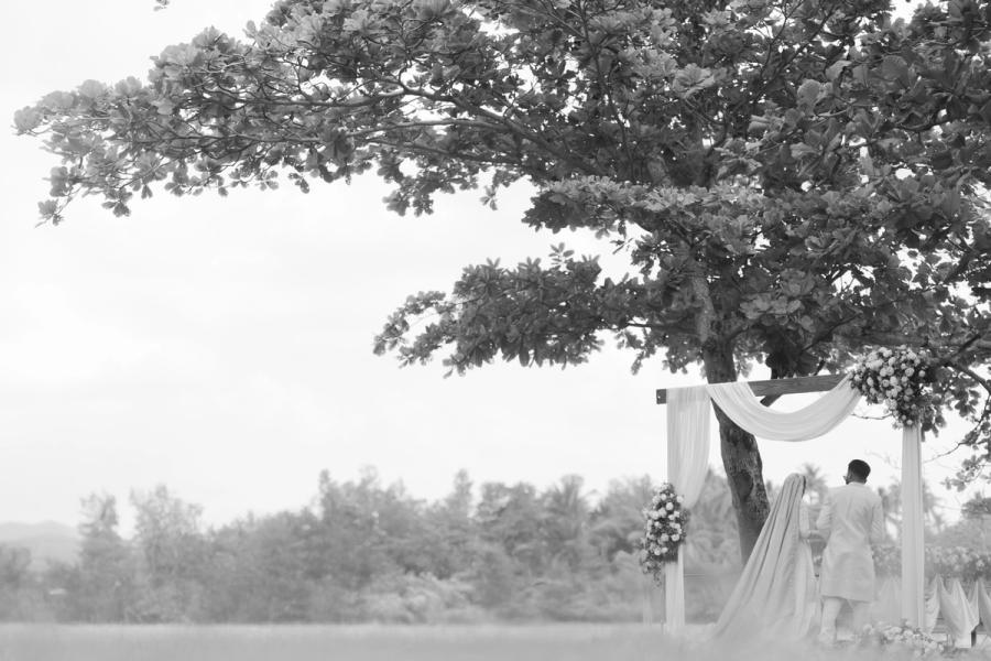 Thasmiya & Hamid — photo 45