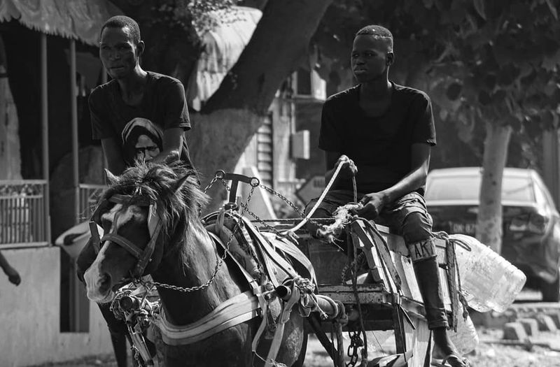 Black and white street scene of two young men riding a horse-drawn cart