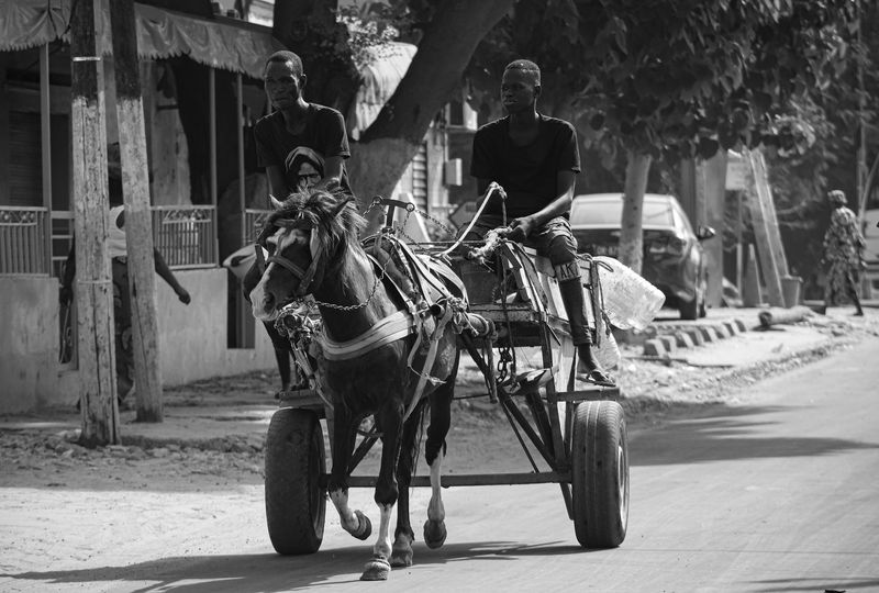 Two men ride a horse-drawn cart along a sunlit street, black and white