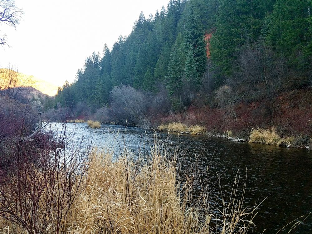 Taylor Creek Cabins Taylor Creek Cabins