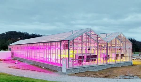 Global Energy Crisis and LED Grow Lights Impact
