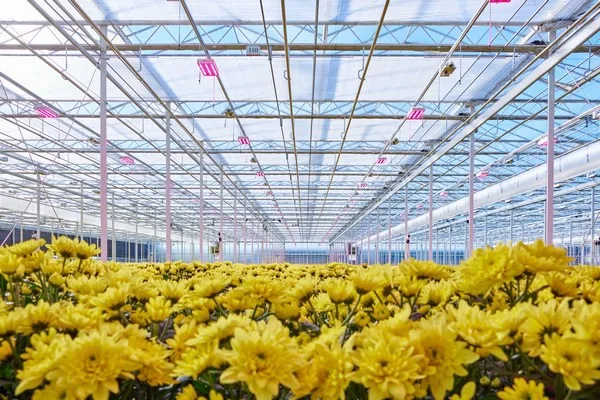 FAQs on Led Grow Light