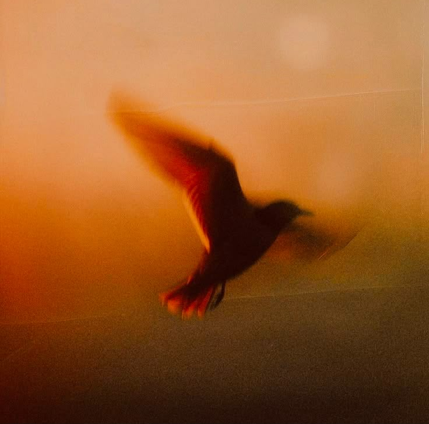 Free