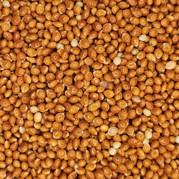 photo of red millet seeds