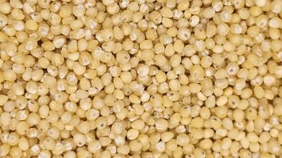 photo of hulled millet seeds