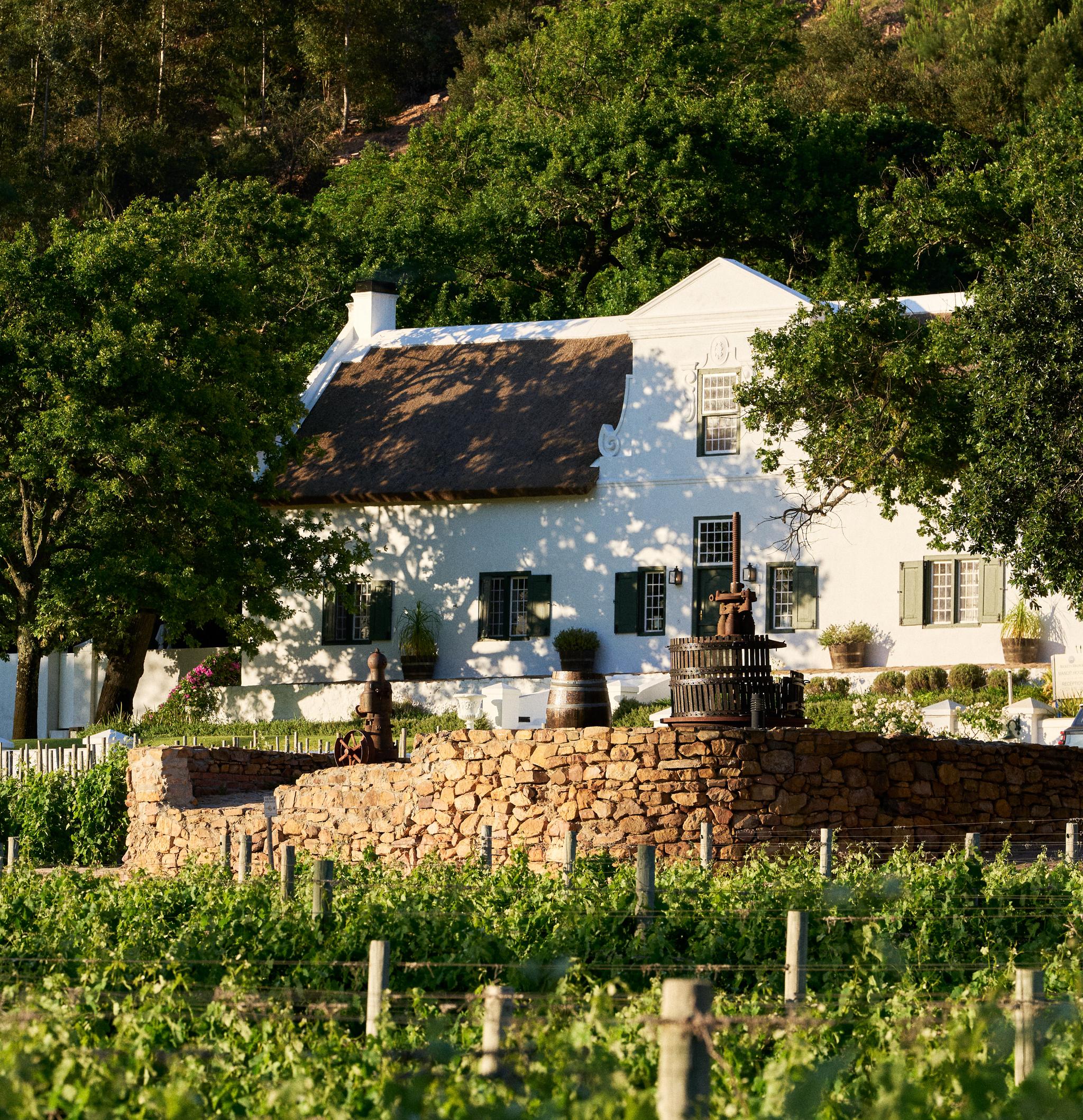 Manor house between trees
