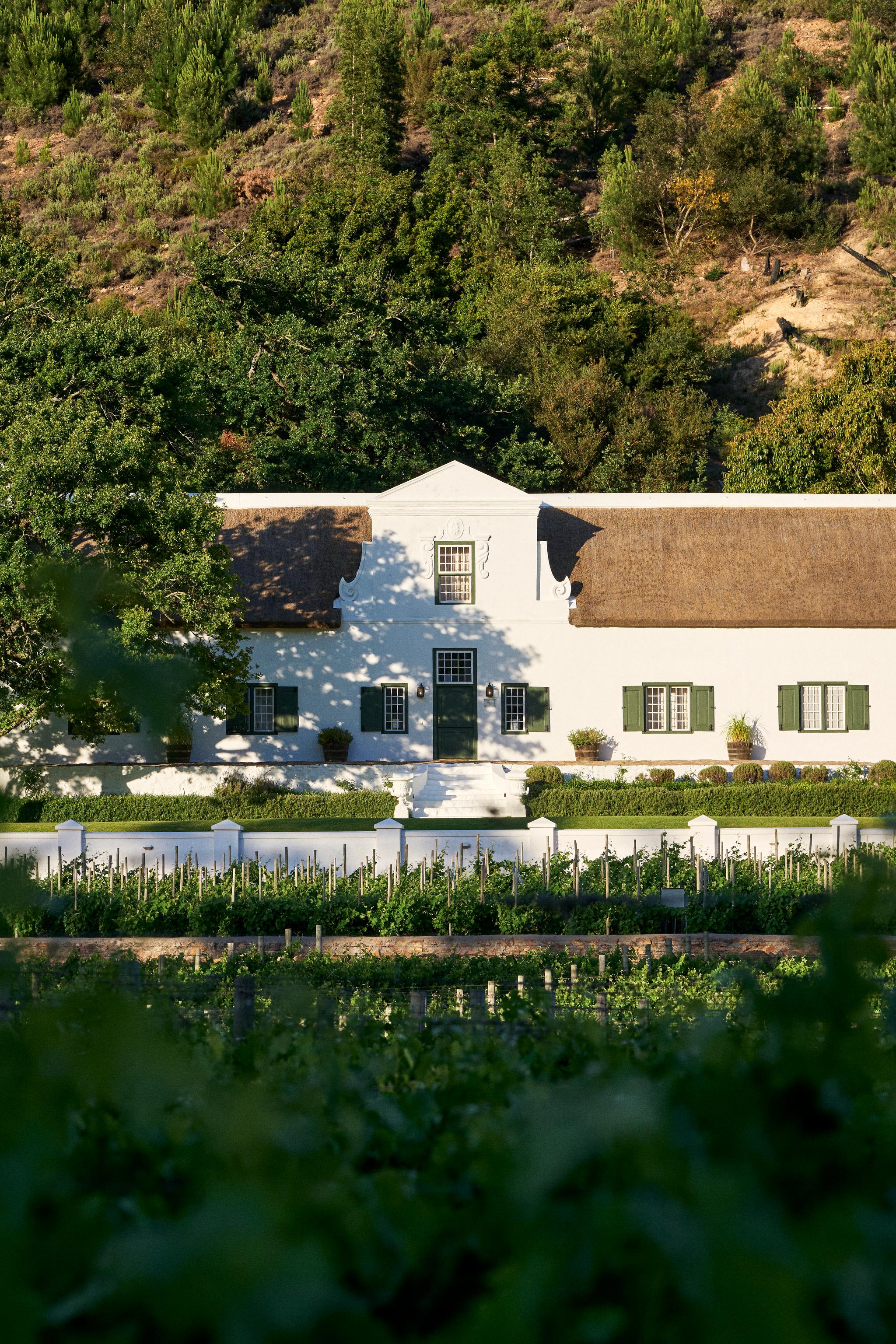 Manor house between trees with vineyard in the foreground