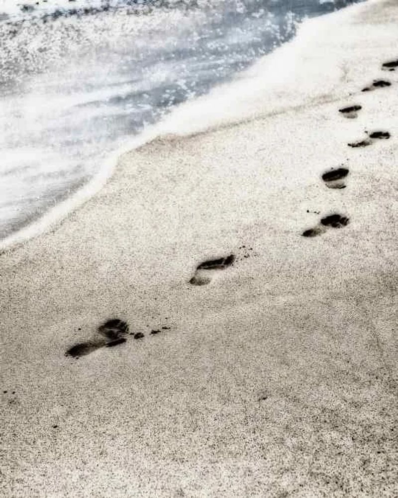 Past Traumas - Manastha