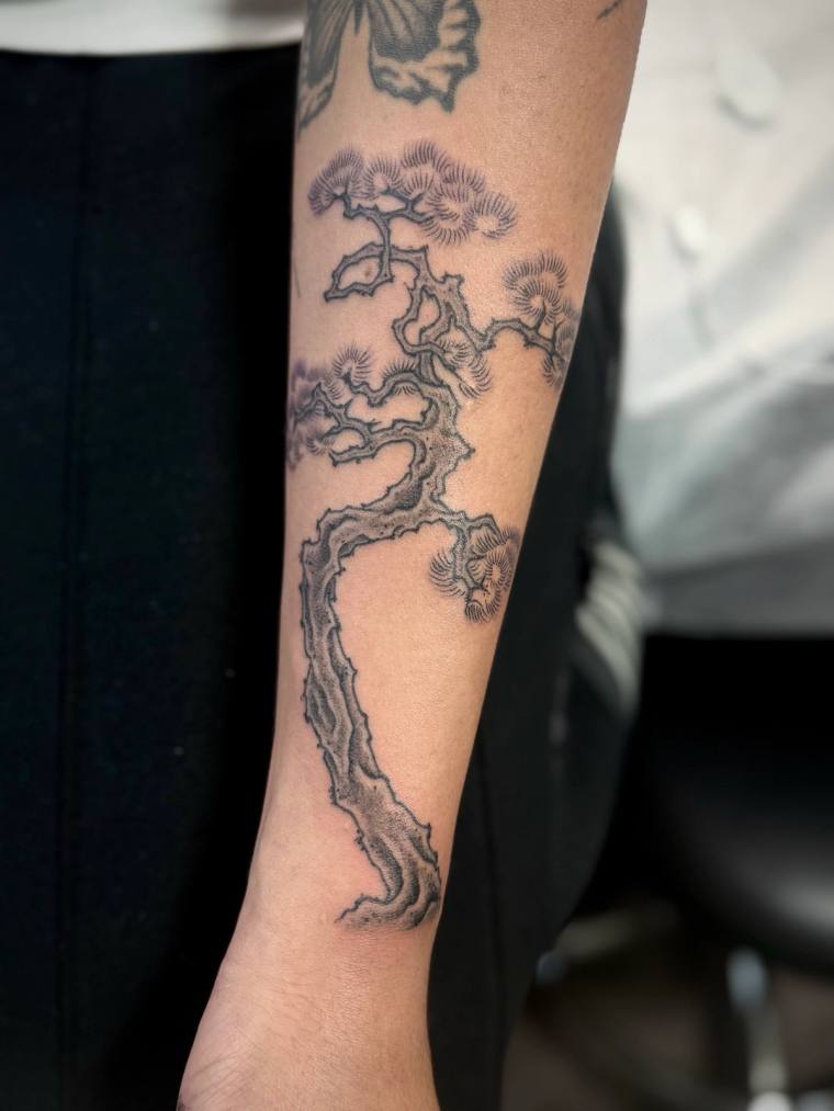 Finished Japanese-style black pine tree tattoo on the inner forearm, with detailed textured bark and delicate needle clusters