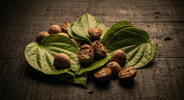 The Hidden Link Between Pan, Supari, and Oral Cancer in Rangpur