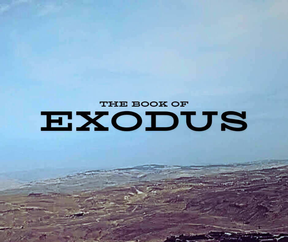 Exodus | St Stephen's Wynyard