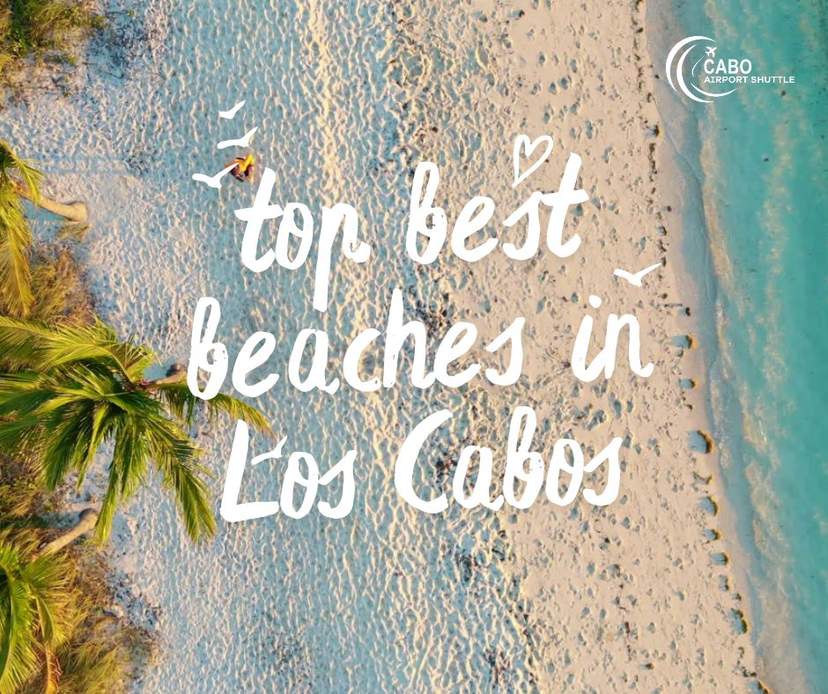 Las Mejores Playas en Los Cabos Las Mejores Playas en Los Cabos