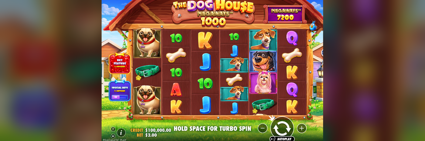 The Dog House Megaways 1000 base game at Flush showing the 6x7 Megaways grid, dog character symbols, card royals, and the Buy Feature and Special Bets panels.