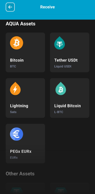 Aqua Wallet supported assets - BTC, Bitcoin Lightning, L-BTC, Liquid USDT - Flush