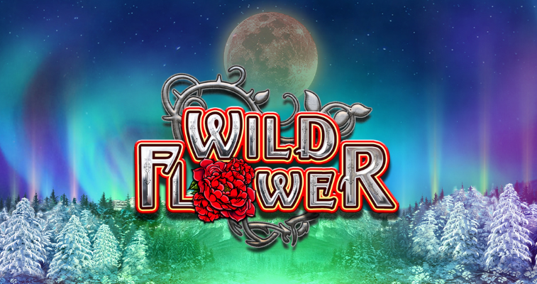 Big Time Gaming の Wild Flower スロット - 満月とオーロラが輝くアラスカの背景とゲームロゴ - Flush