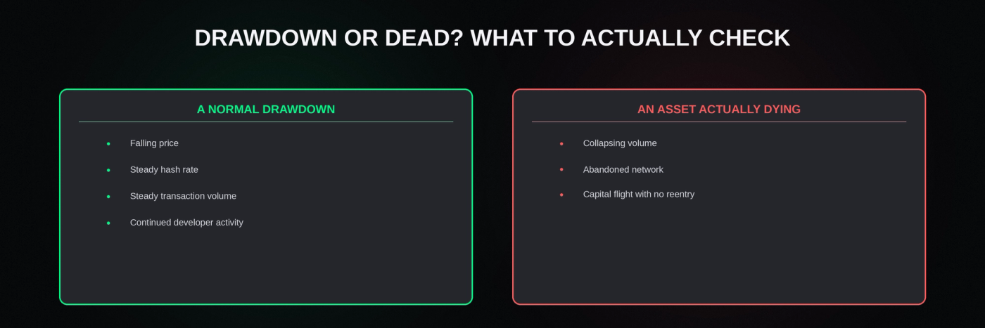 A price crash and an asset class actually dying look nothing alike once you check the underlying network data instead of just the price chart.
