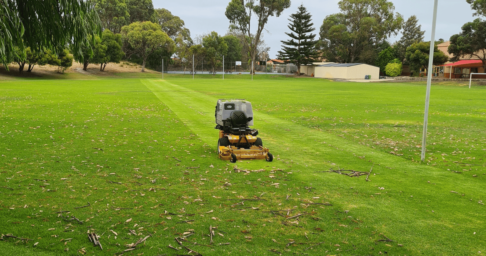 Mowing Kikuyu