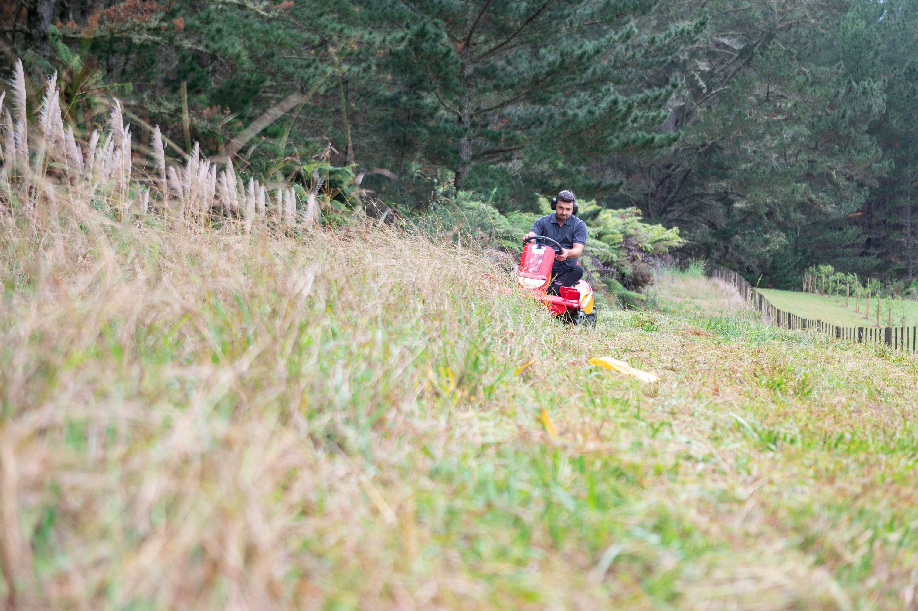 Canycom mowing thick material on slopes in New Zealand