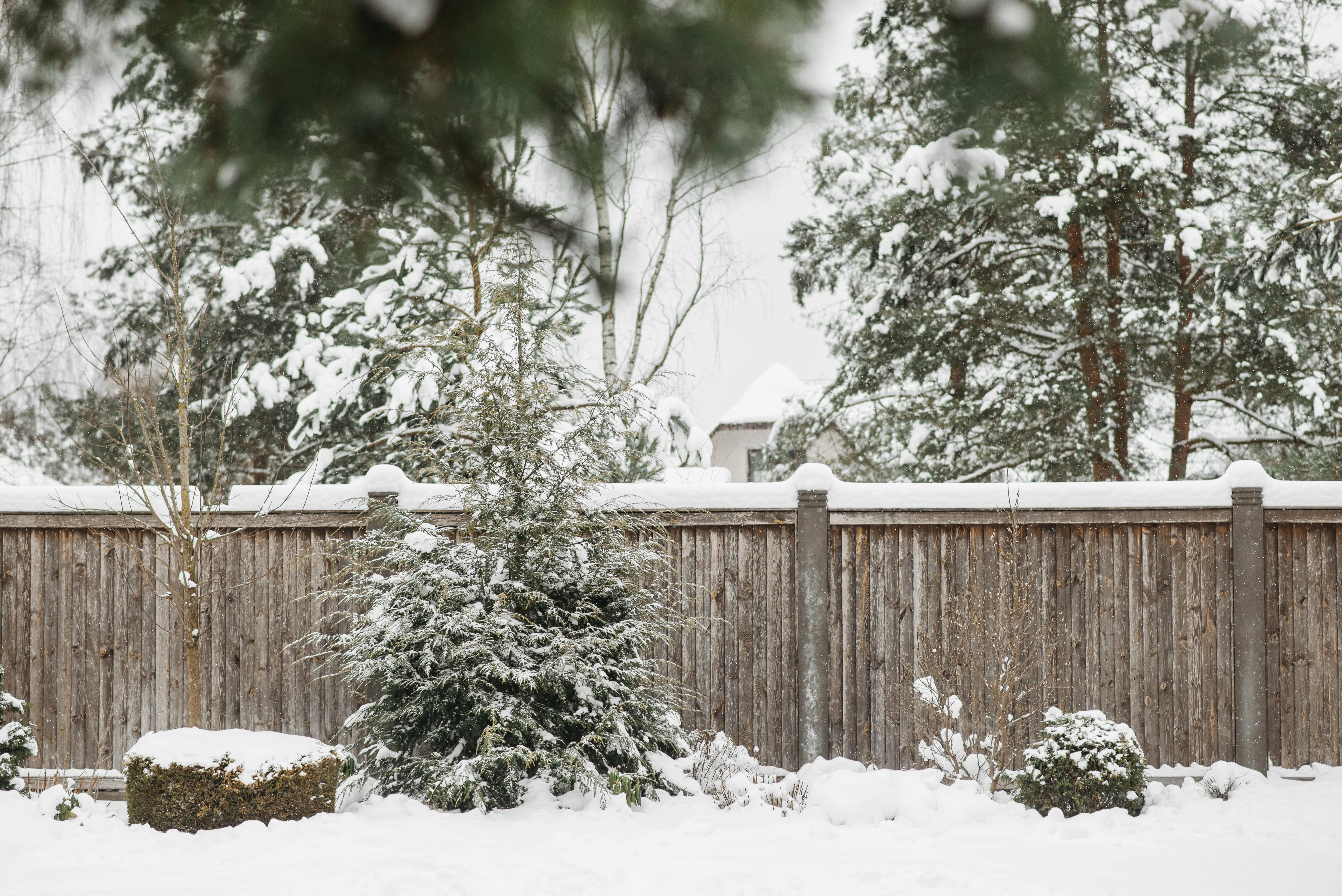 Winter garden