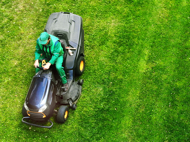 choosing the best mower