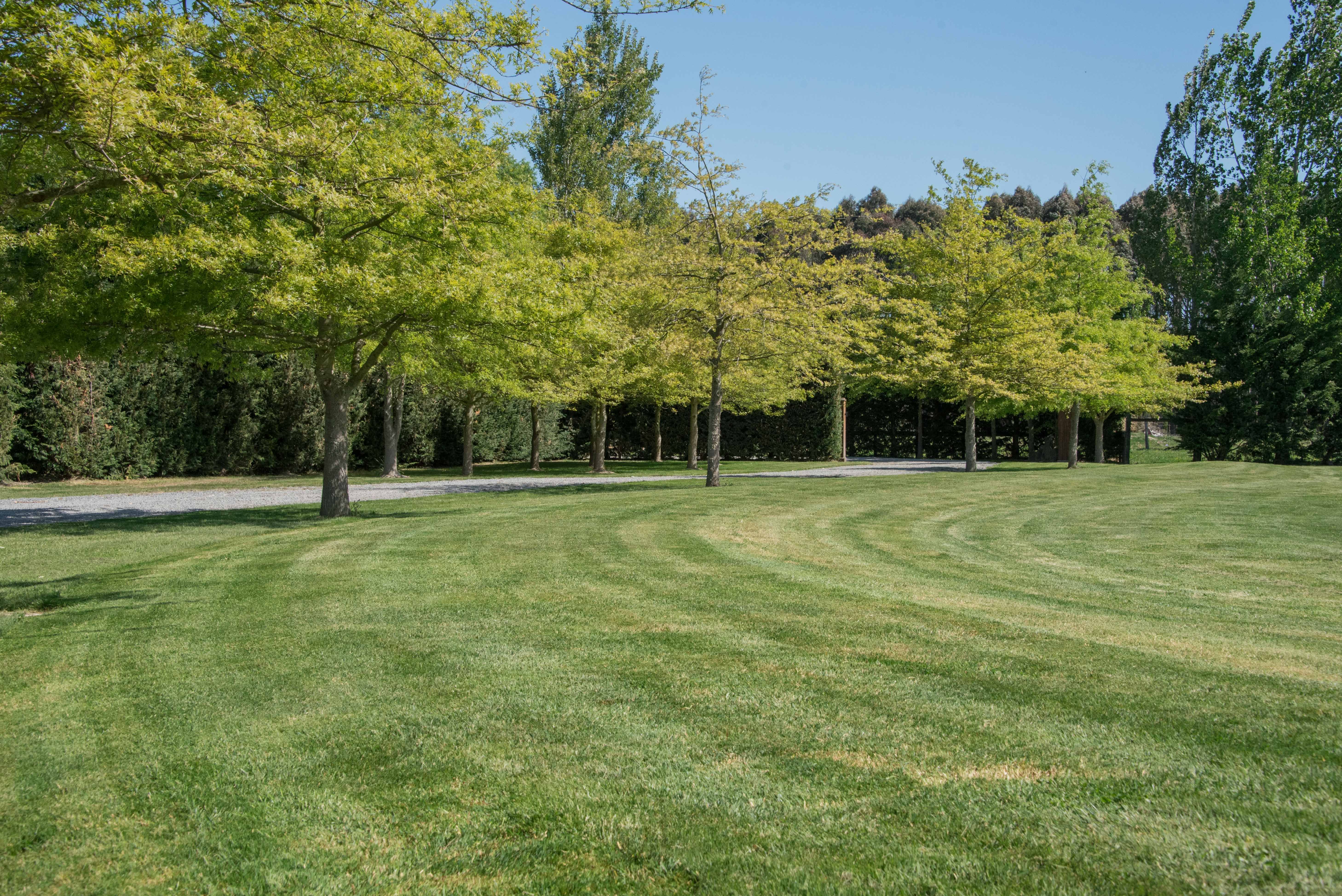 Healthy Lawn in Ohoka, Canterbury, New Zealand