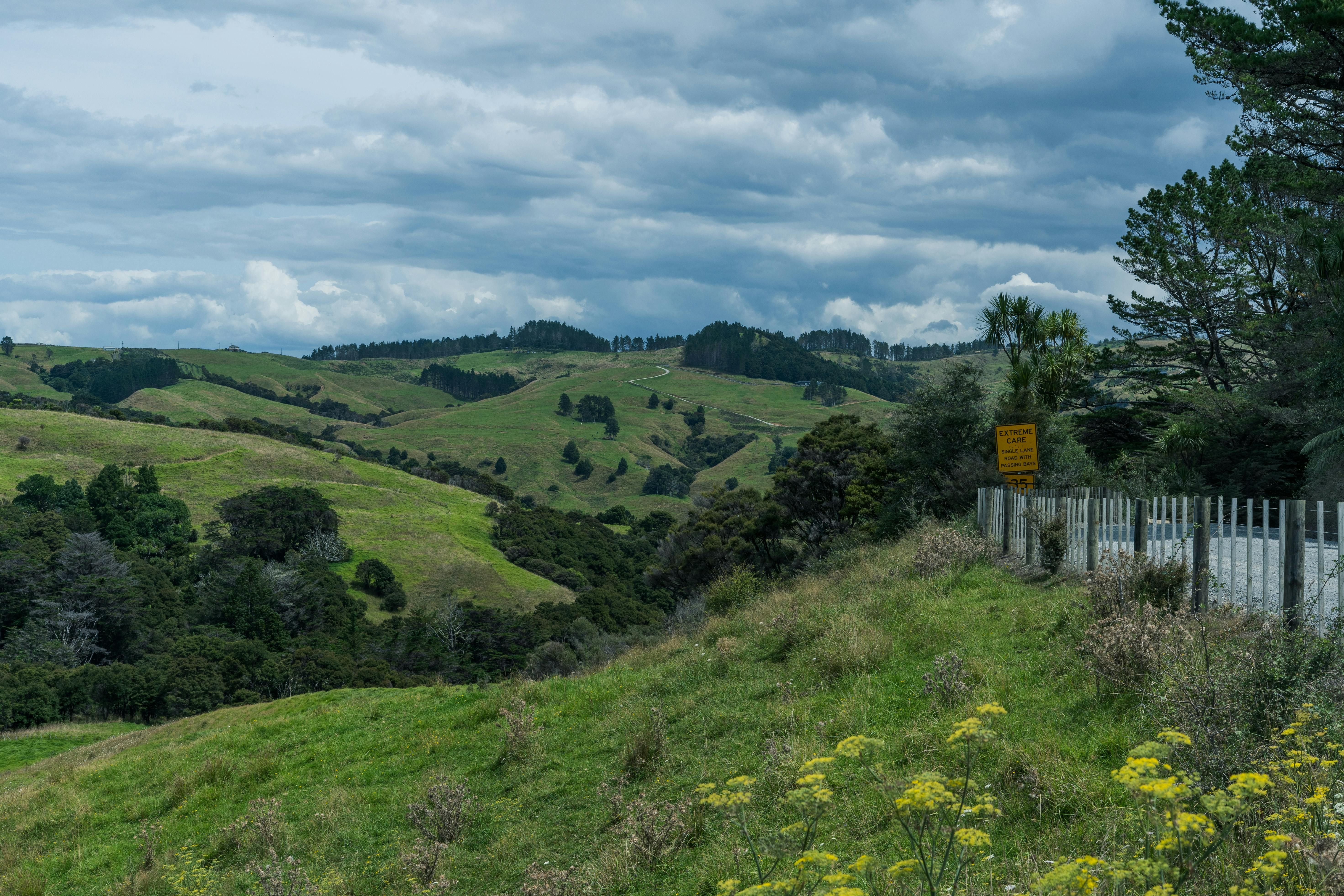 New Zealand Hills