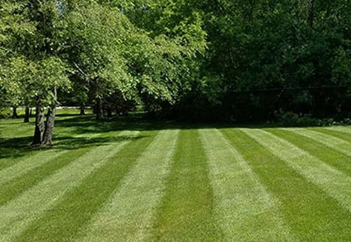 Lawn Stripes