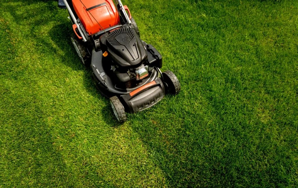 Kikuyu Mower Types