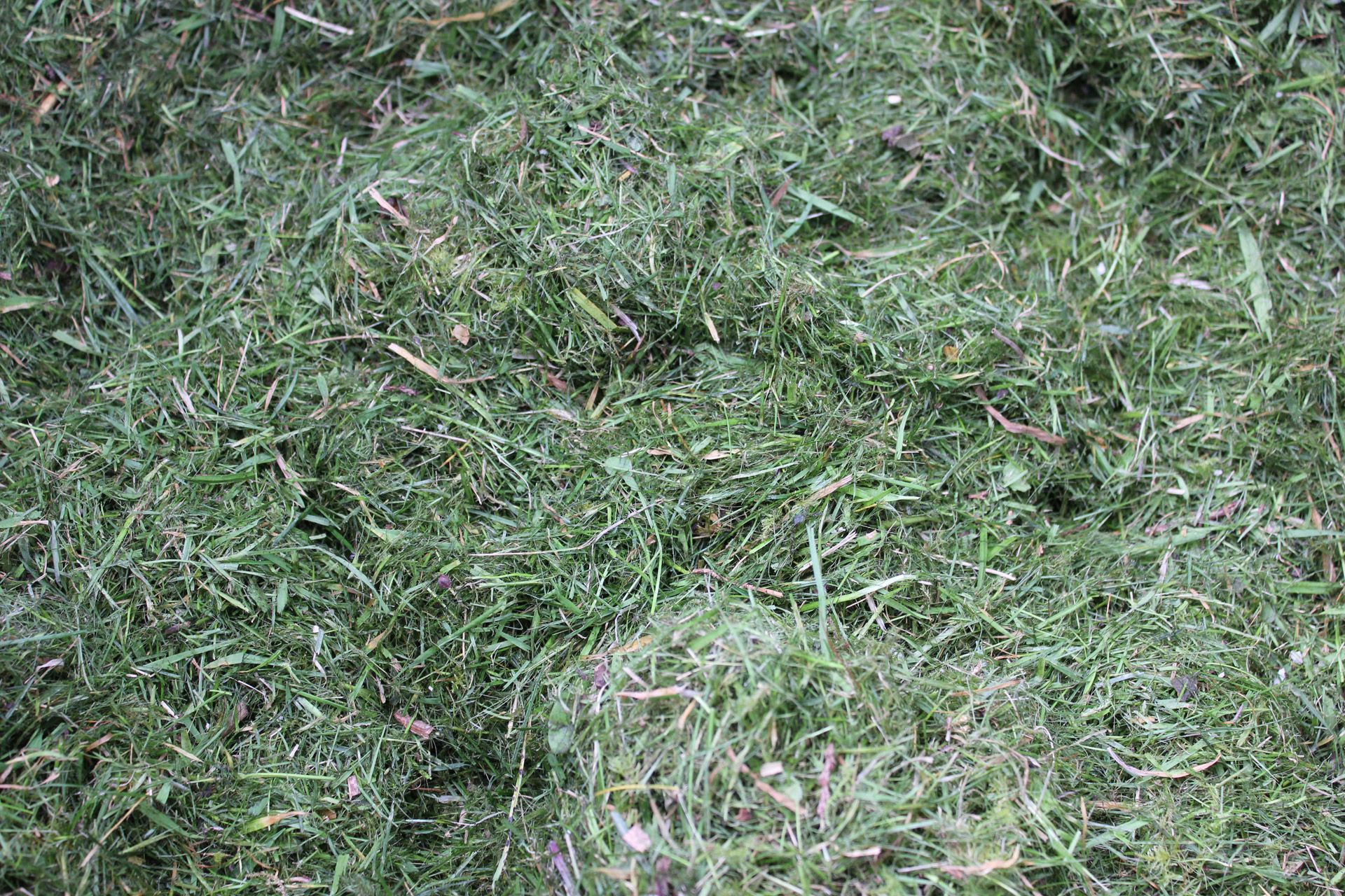 Lawn Clippings