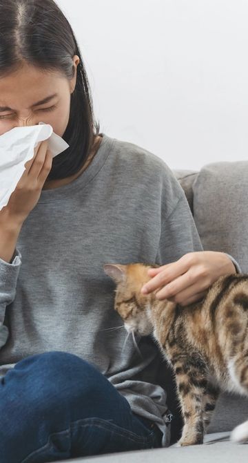 How to Build Immunity to Cat Allergies: Effective Tips That Work