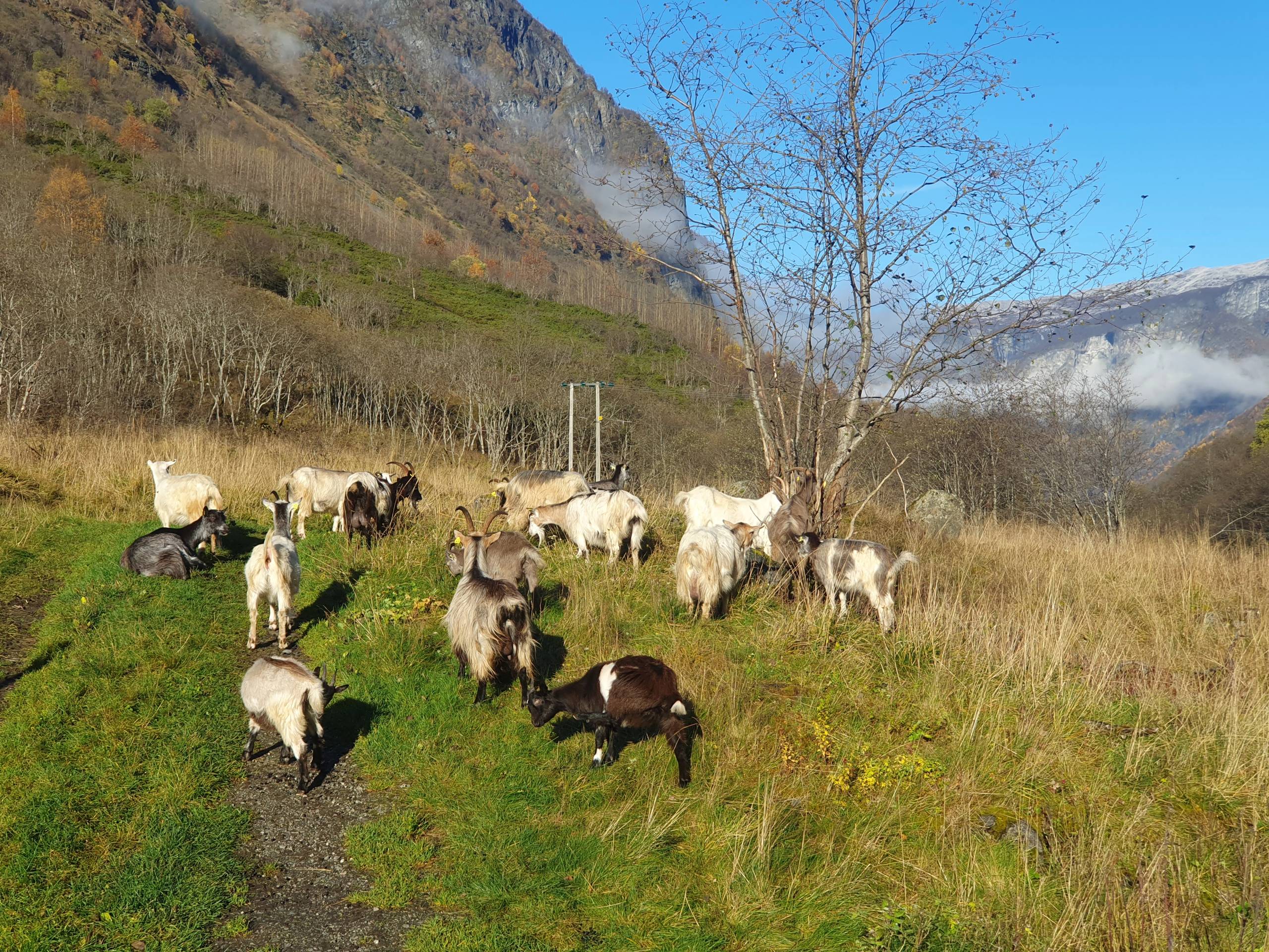 Stalheim, Viking Valley & Undredal — 9