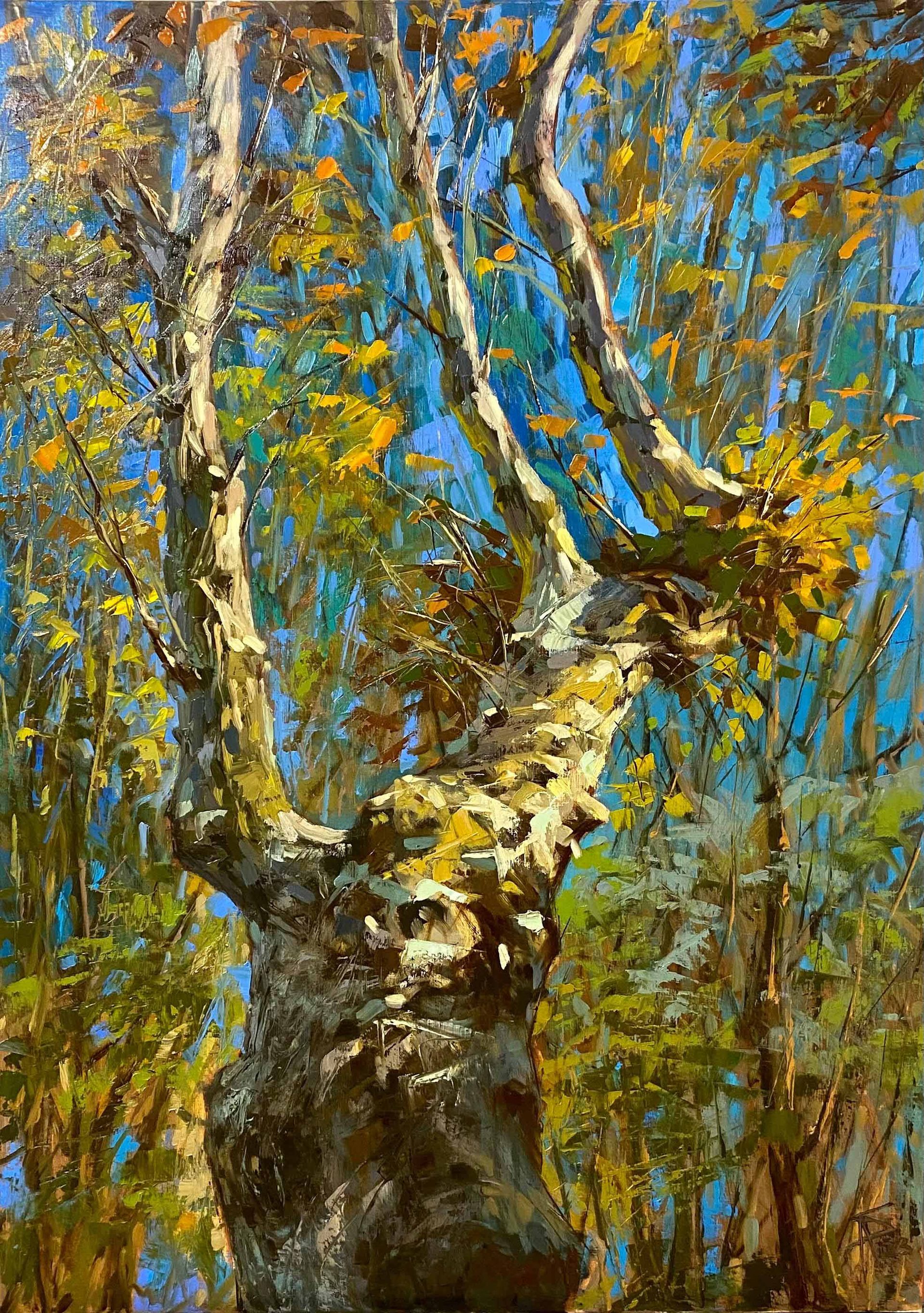 Plane Tree — 70 x 50 cm, oil on canvas, 2023