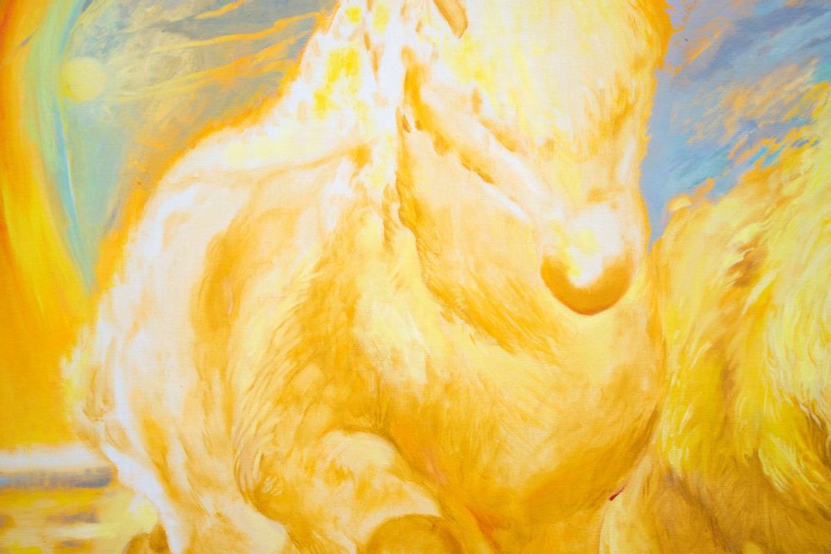 Input Error (Horses)