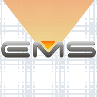 Egyptian Micro Solutions logo